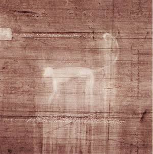 Catalogazione, the monkey, 2001, abrasioni su pvc, cm 80 x 80