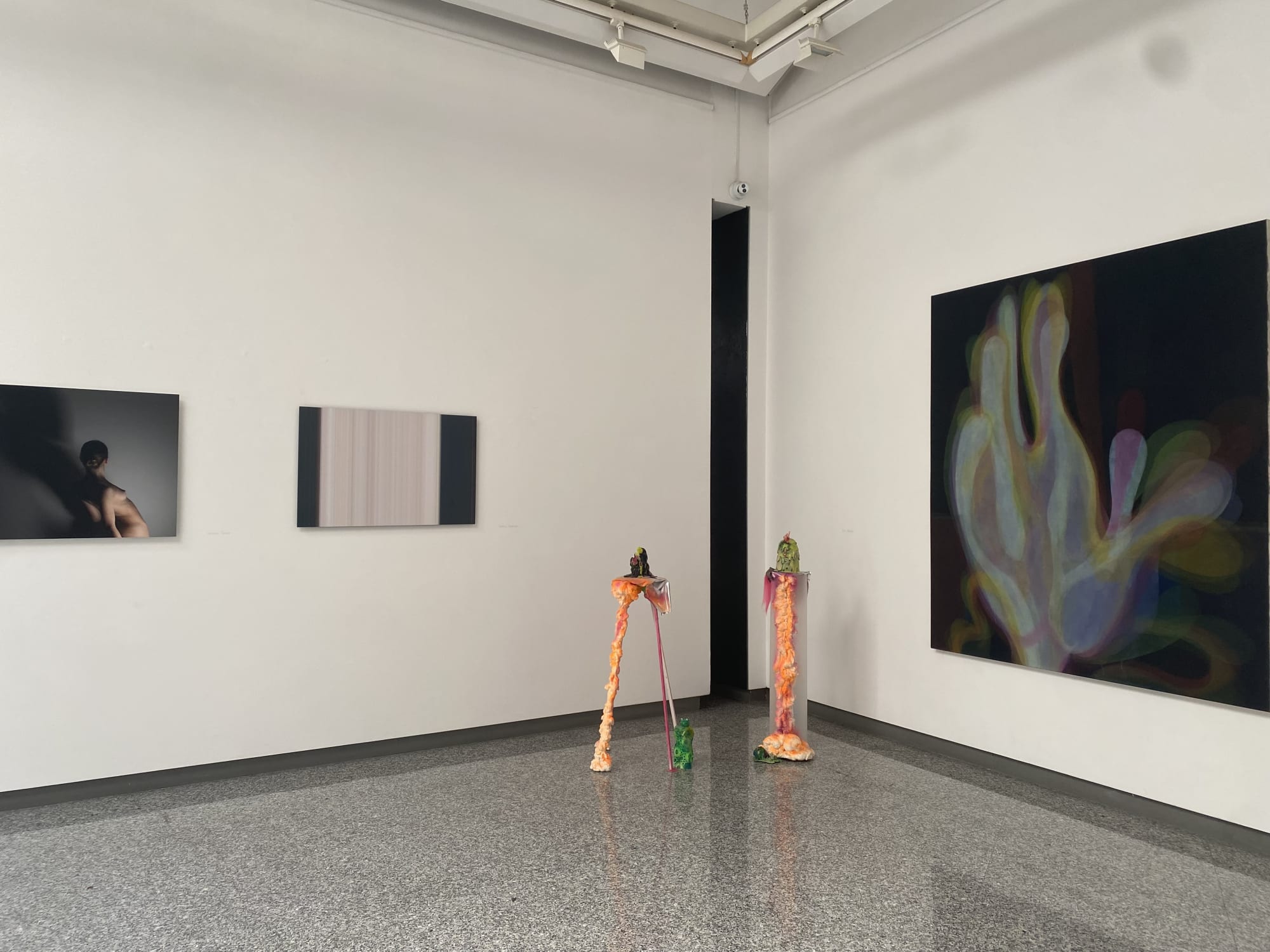 Veduta dell'installazione.