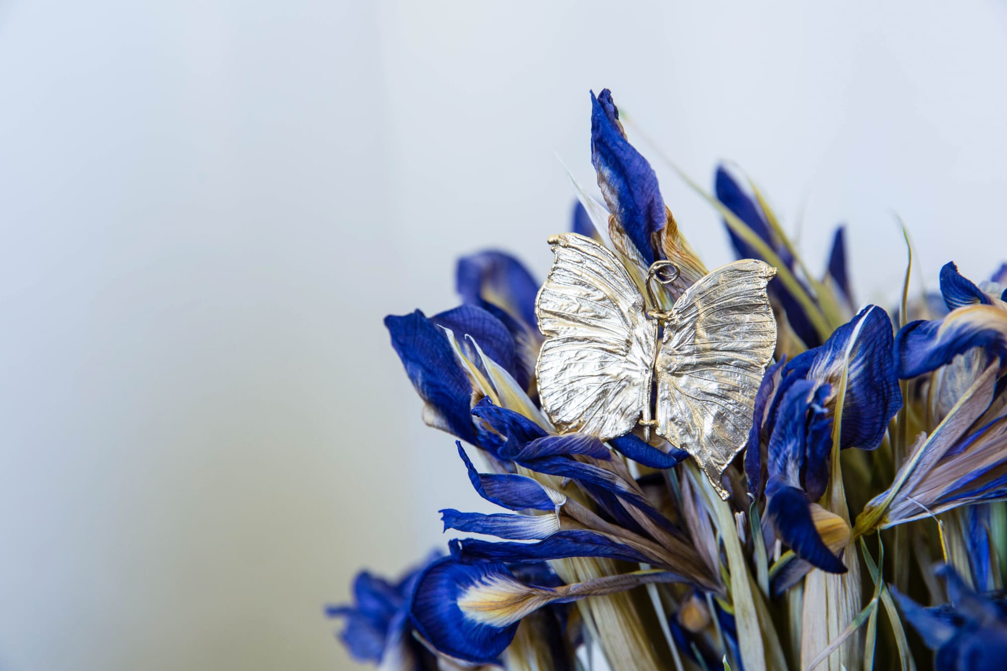 Papillon, ca. 1970-90, Earrings, polished bronze dore