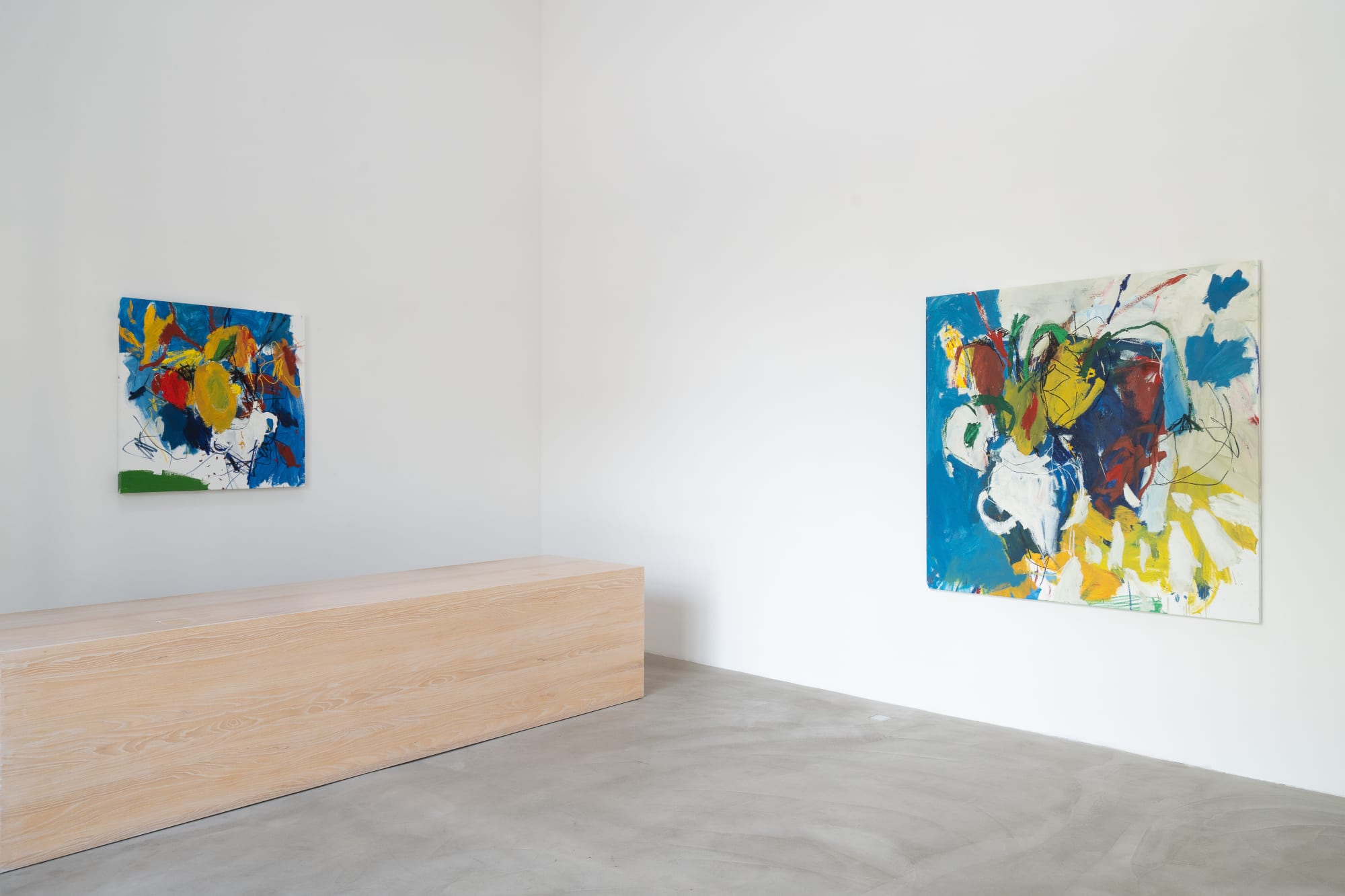 LUIS OLASO | EL PÁJARO BLANCO 16.8.2024 - 8.9.2024