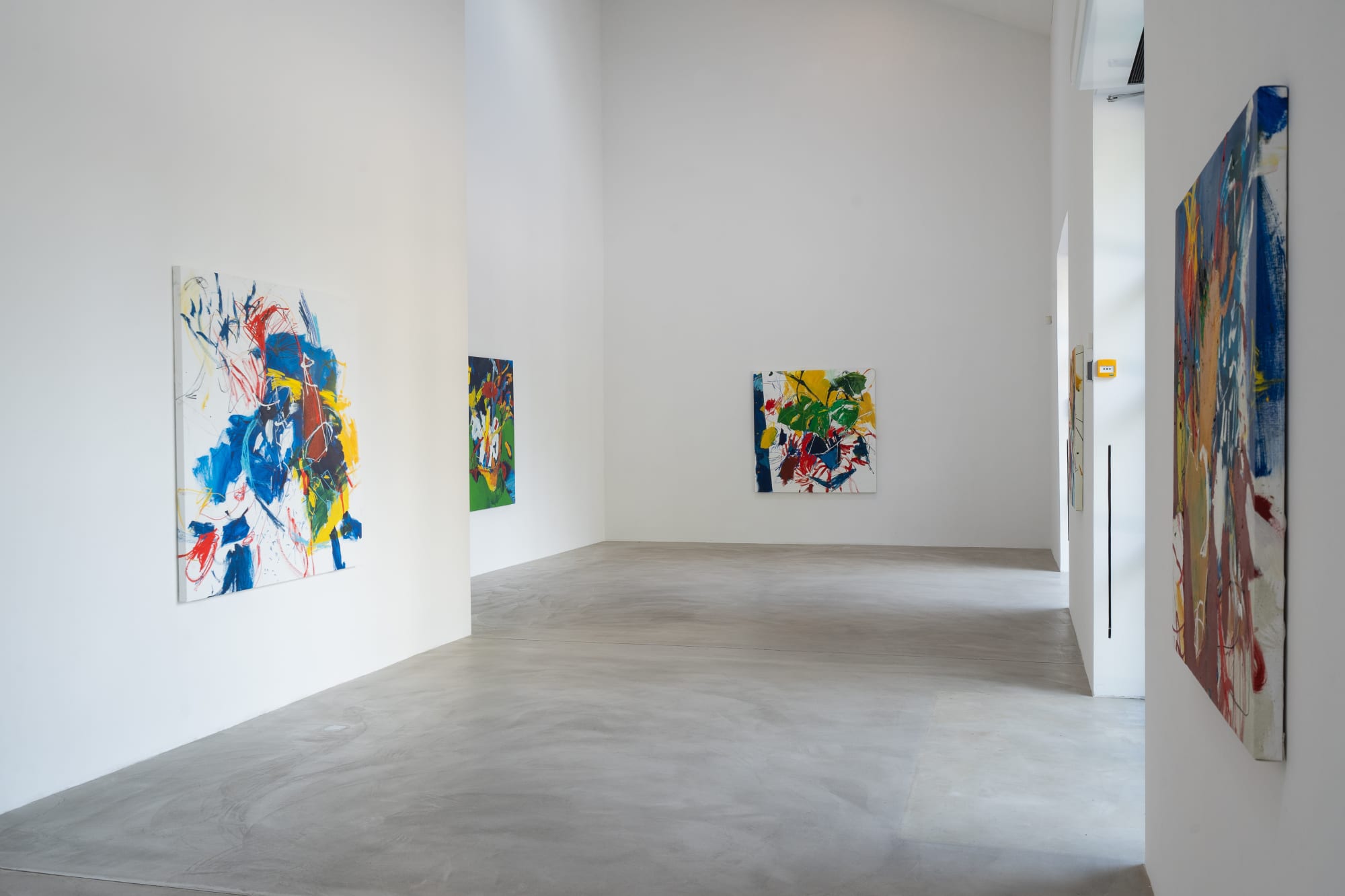 LUIS OLASO | EL PÁJARO BLANCO 16.8.2024 - 8.9.2024