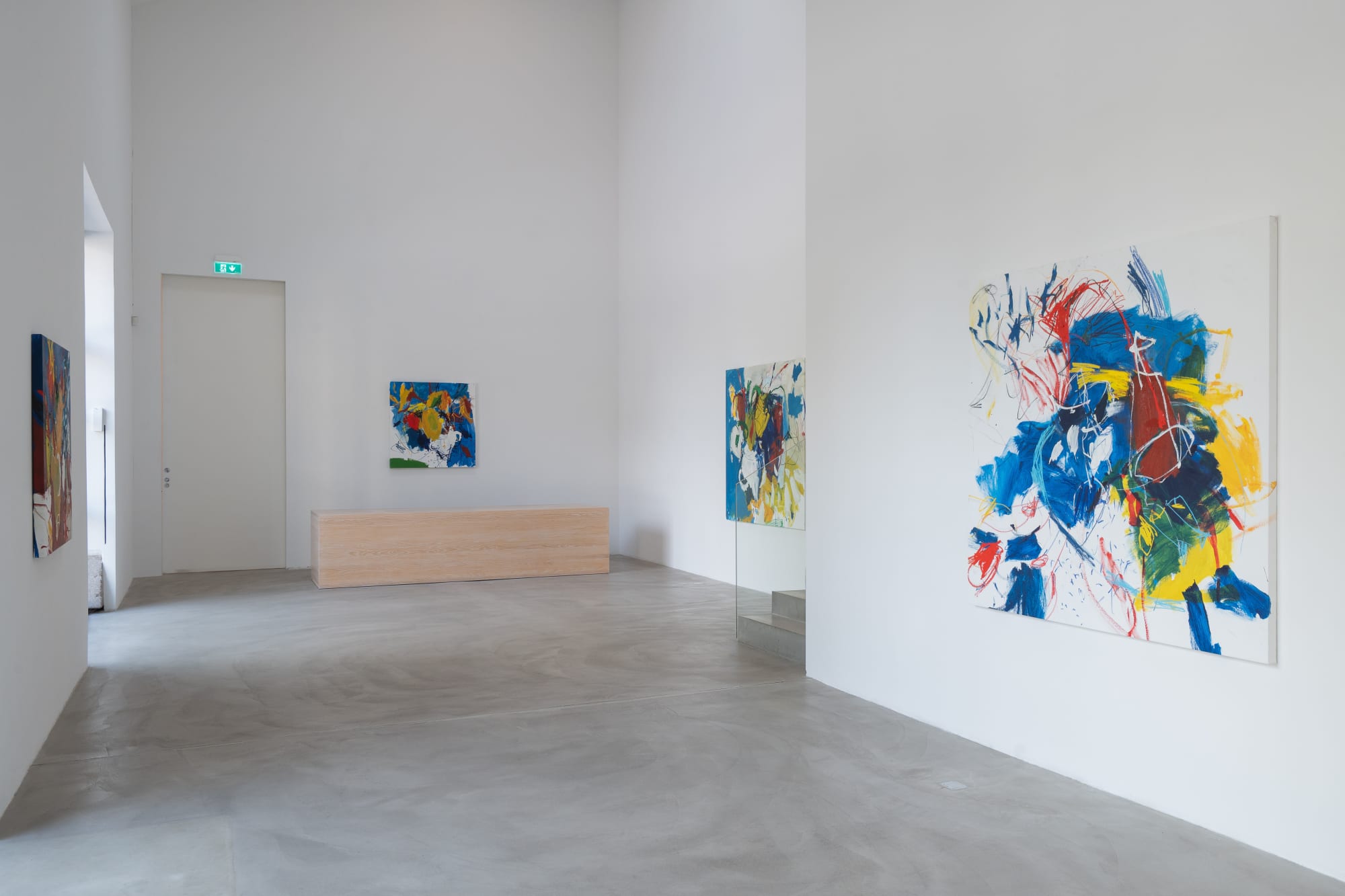 LUIS OLASO | EL PÁJARO BLANCO 16.8.2024 - 8.9.2024