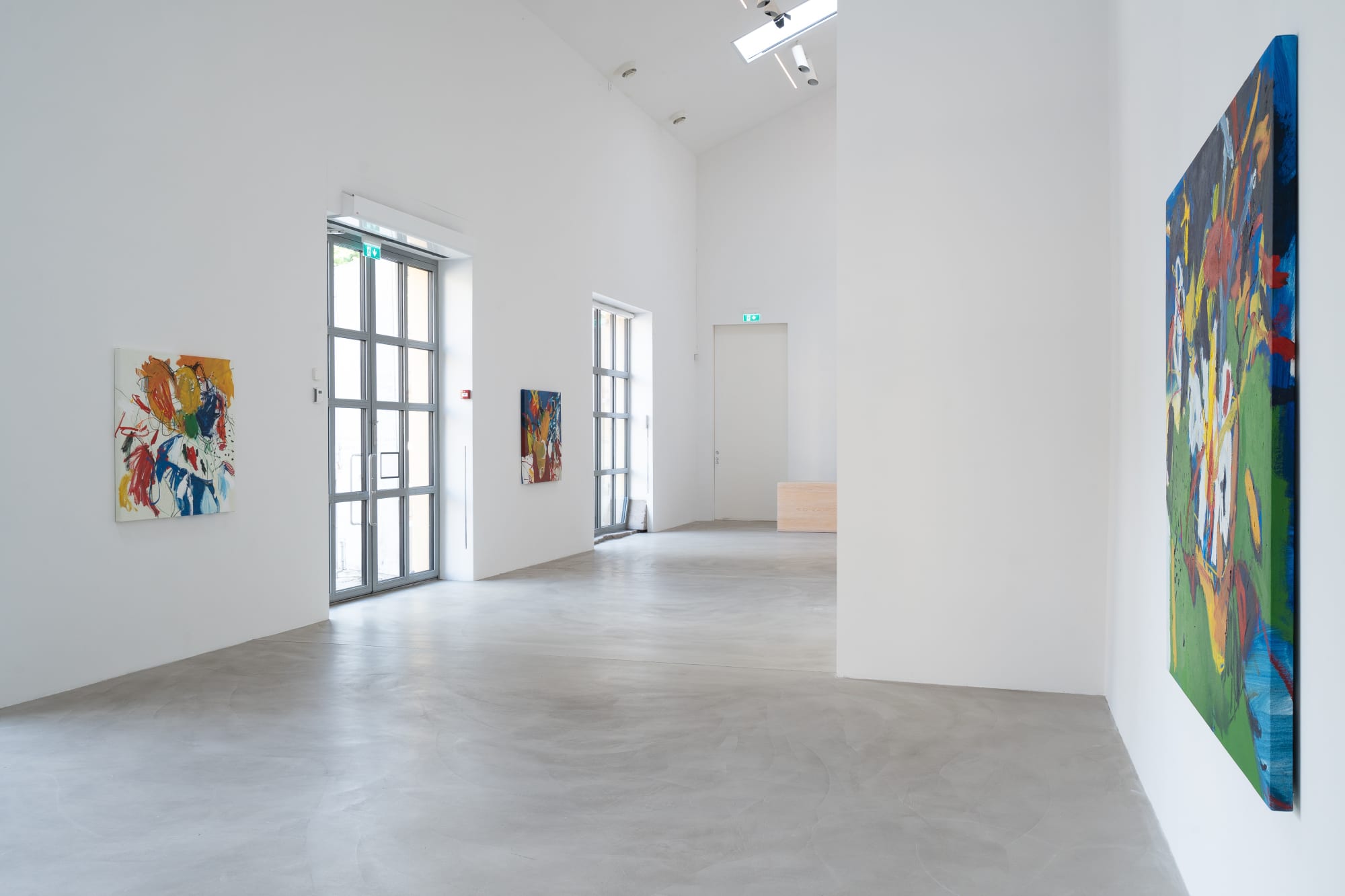 LUIS OLASO | EL PÁJARO BLANCO 16.8.2024 - 8.9.2024