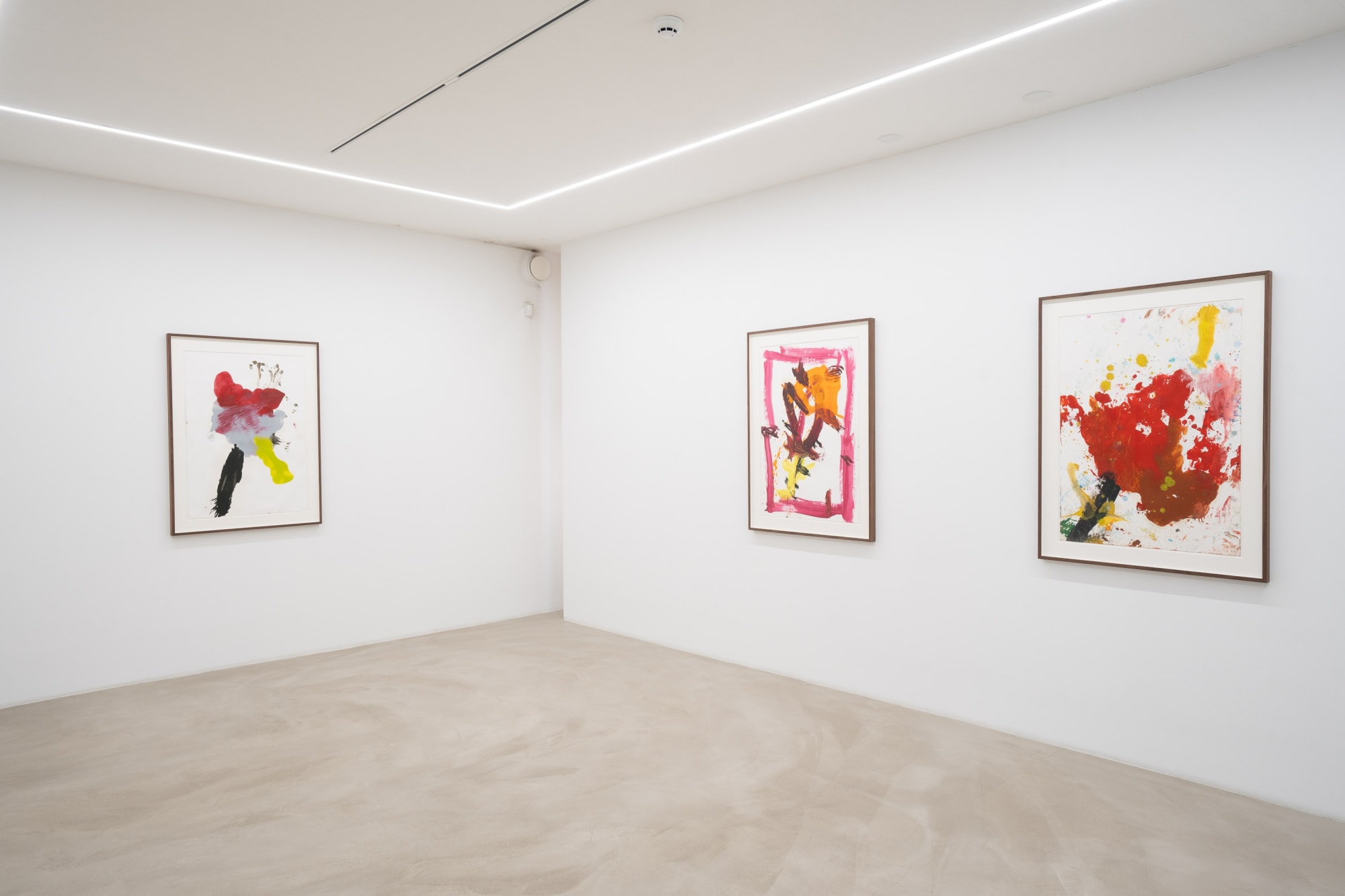 JORGE GALINDO | CAMBISTA TESTA 9.5.2024 - 20.6.2024