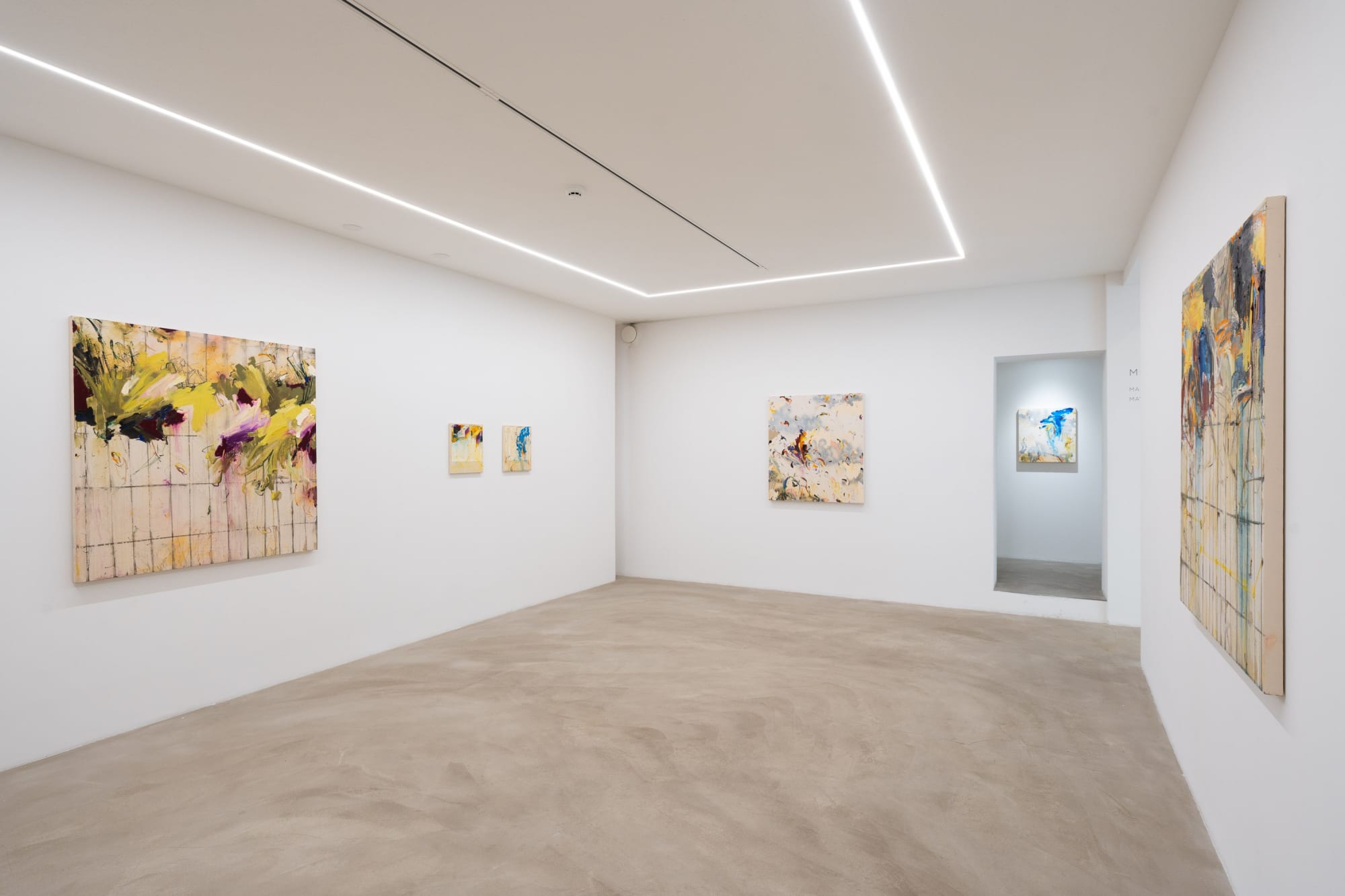 MIKKO PAAKKONEN | MAPS, FIELDS AND FENCES 9.5. - 1.6.2025