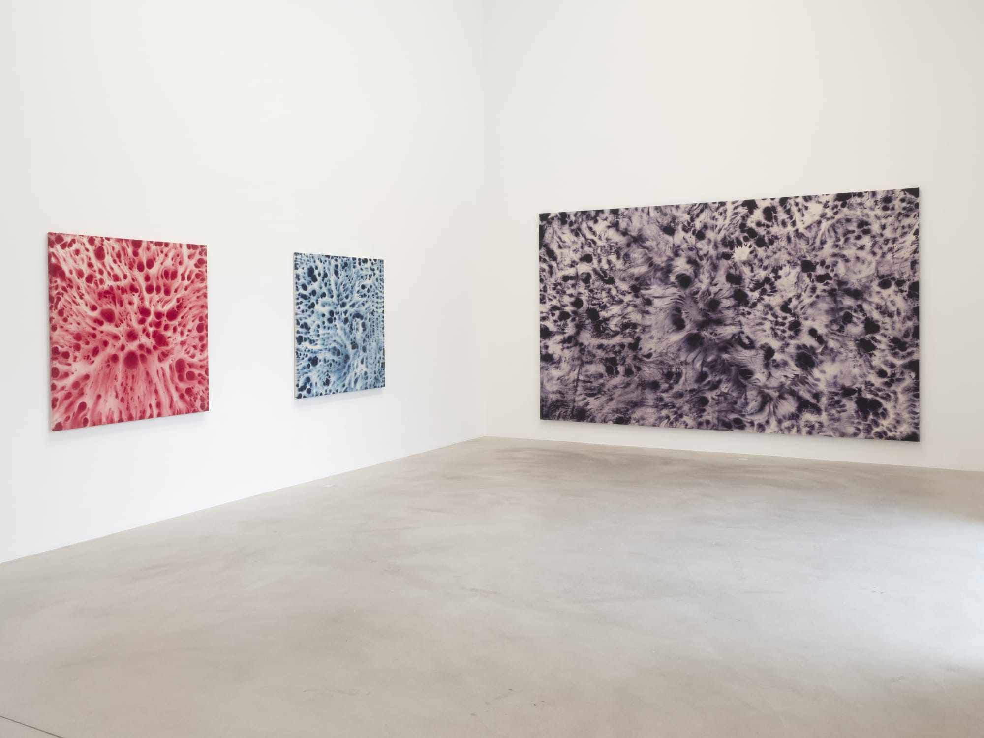 ALEJANDRO PIÑEIRO BELLO | FIELDS 19.3.-25.4.2021