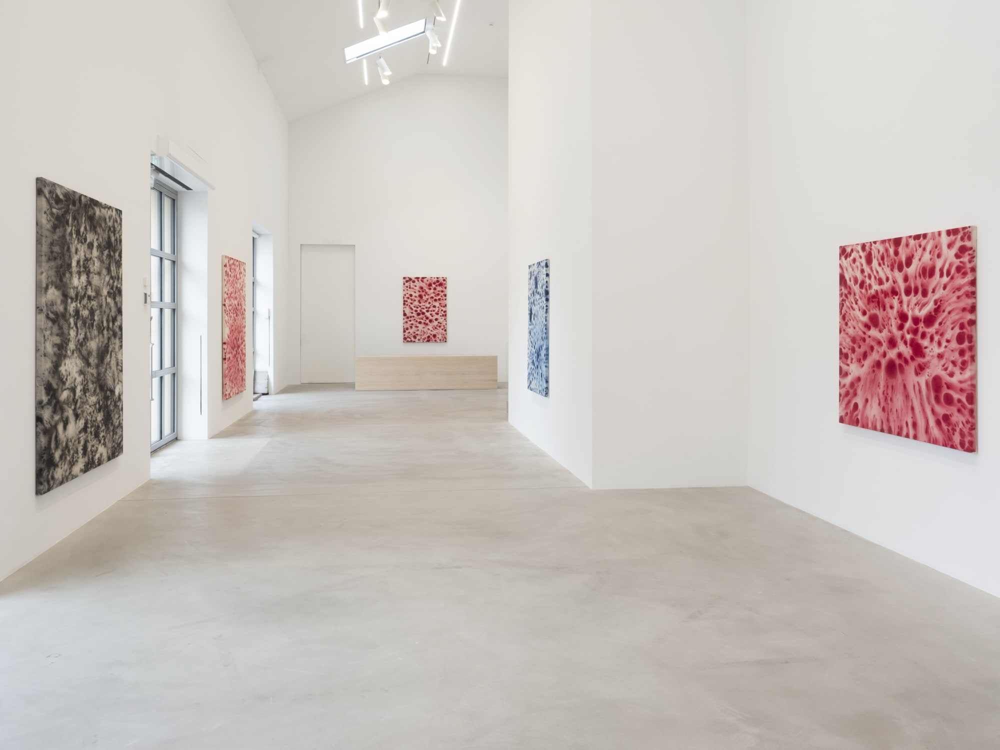 ALEJANDRO PIÑEIRO BELLO | FIELDS 19.3.-25.4.2021