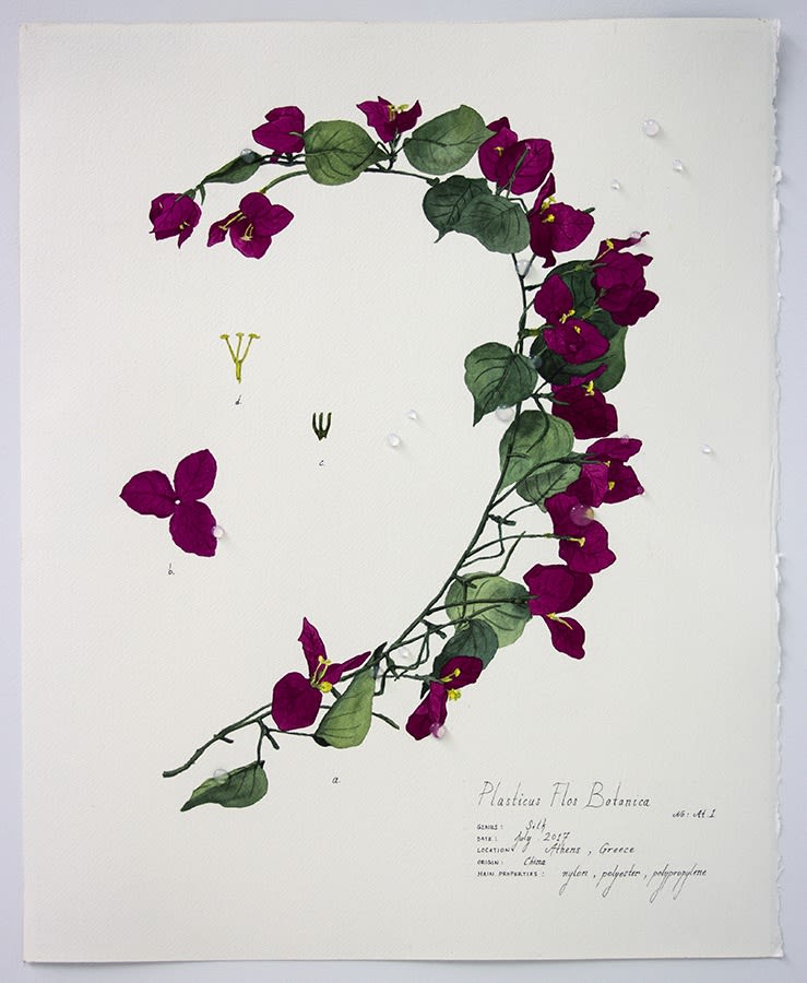 Magdalen Wong, Plasticus Flos Botanica Athens I . 2017 .