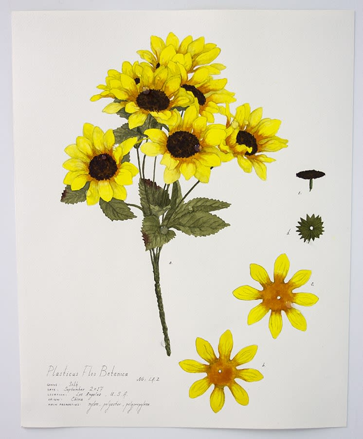 Magdalen Wong, Plasticus Flos Botanica Los Angeles II . 2017 .