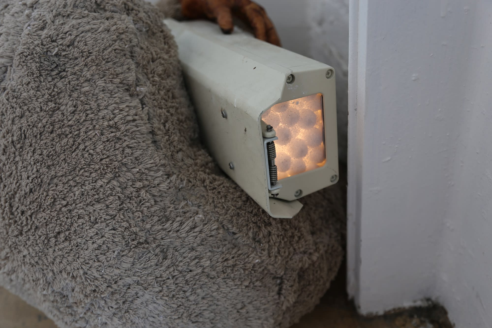 Installation View, marrow. Photo: Yubo Dong