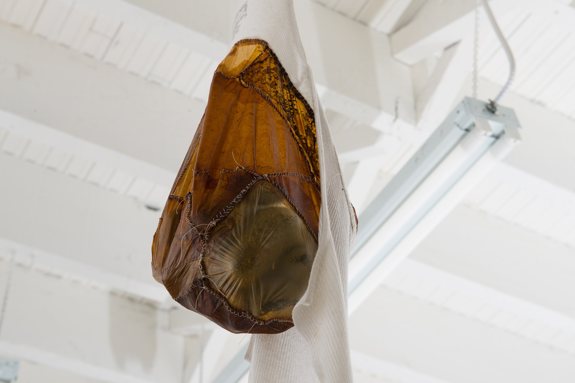 Installation View, marrow. Photo: Yubo Dong