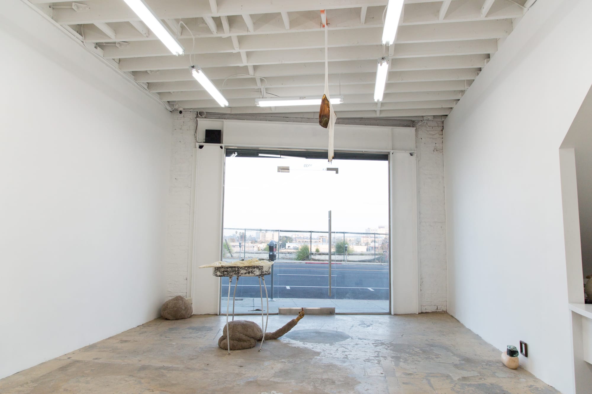 Installation View, marrow. Photo: Yubo Dong