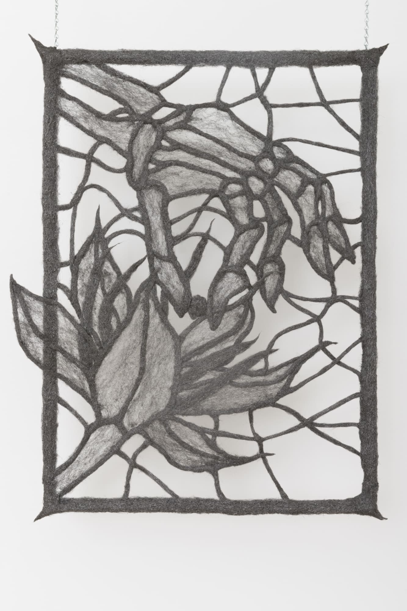 ASMA, Mountains Shawdow, 2019