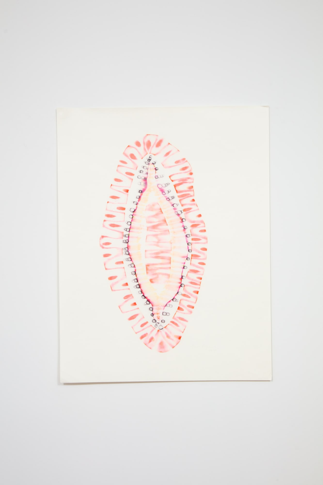 Yassi Mazandi Sea cucumber germ, 2014 Mixed media on handmade Japanese mulberry paper 22 x 17 in