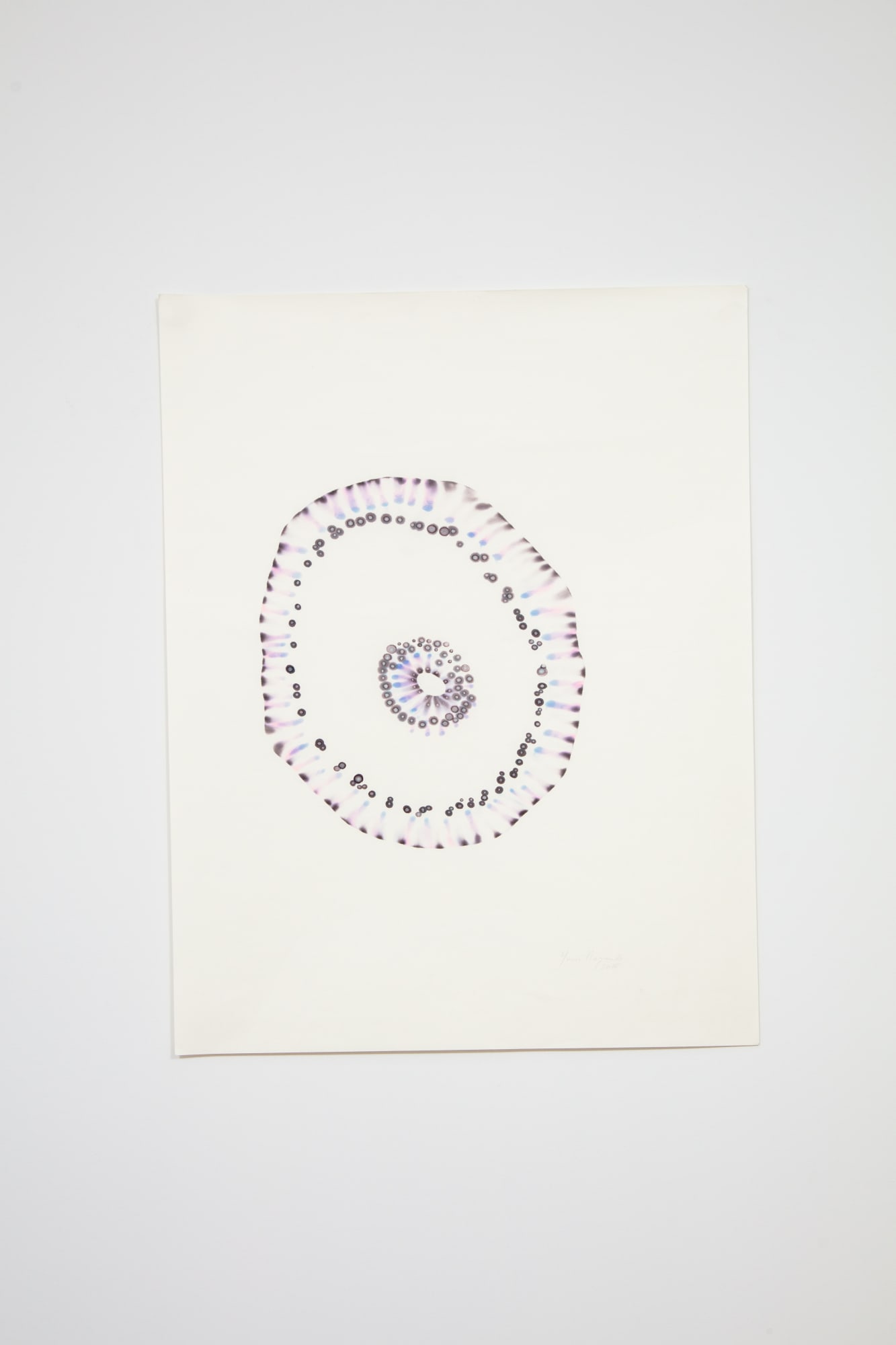 Yassi Mazandi Lilac Experiment , 2015 Pigment on handmade Japanese mulberry paper 22 x 17 in. 55.88 x 43.18 cm