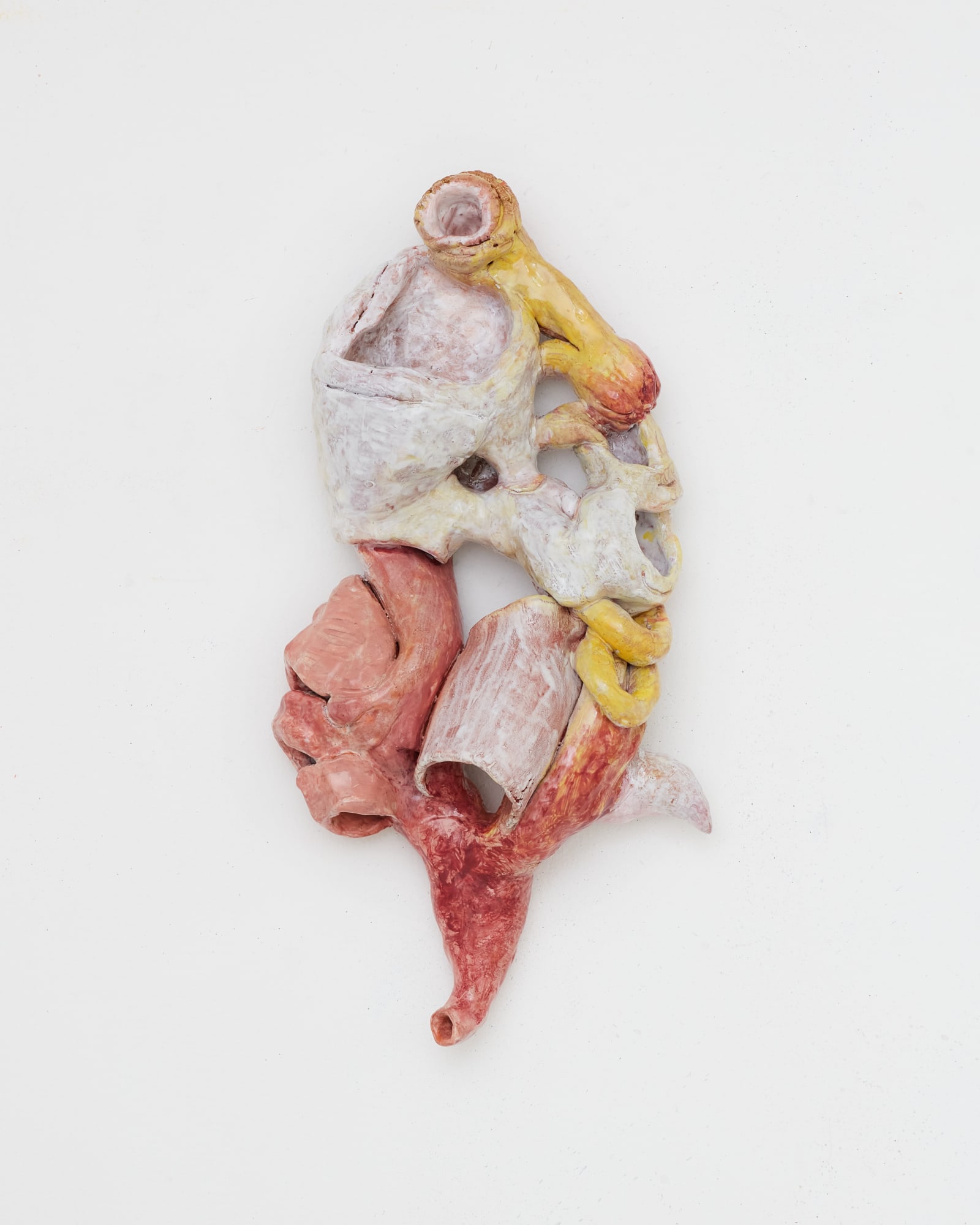 Soumya Netrabile Mushroom Prophet, 2024