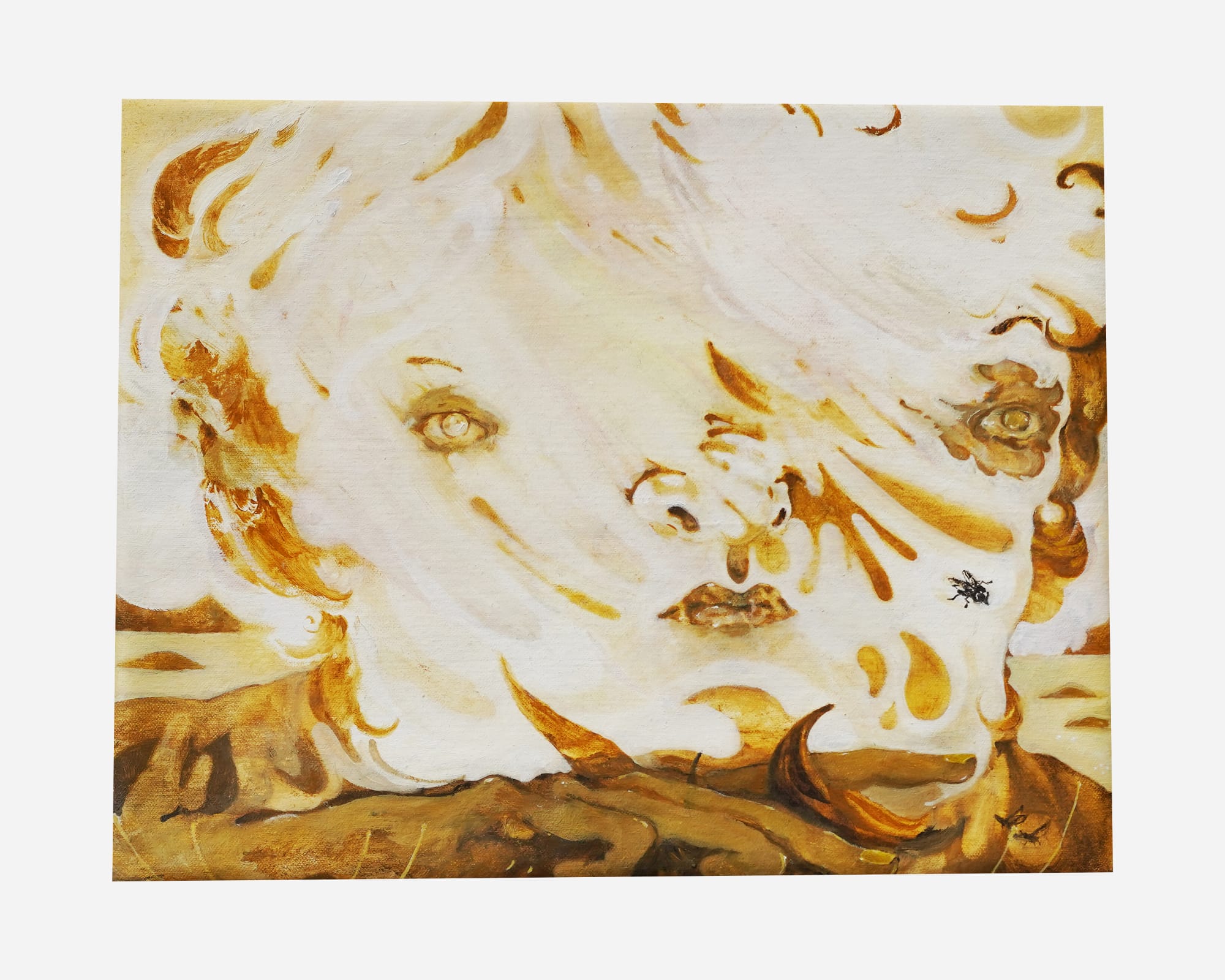 Katya Labowe-Stoll Flies, under the sun, 2025