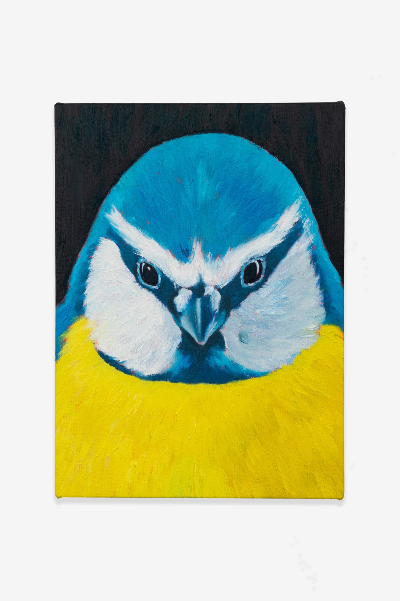 Your Ass is Grass 3C, 2022