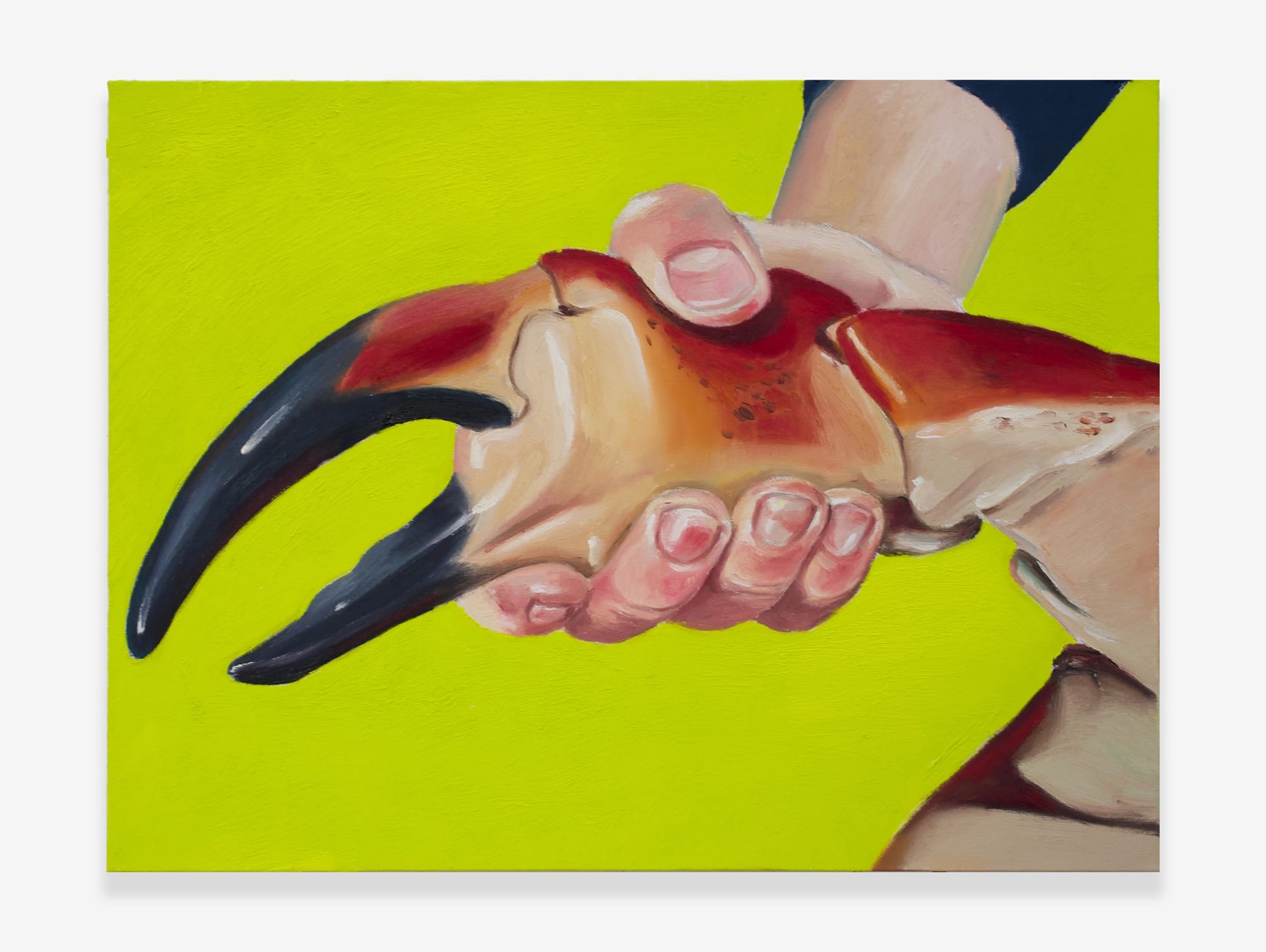 Your Ass is Grass 3Z, 2022