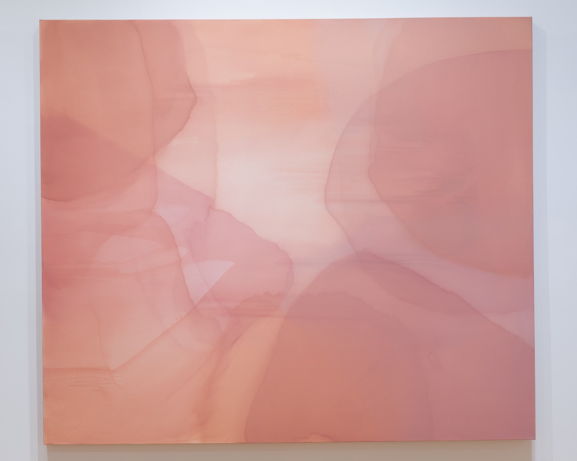 Mild Sedative (The Lustrous Lucidity) , 2020 62 x 72 acrylic on linen