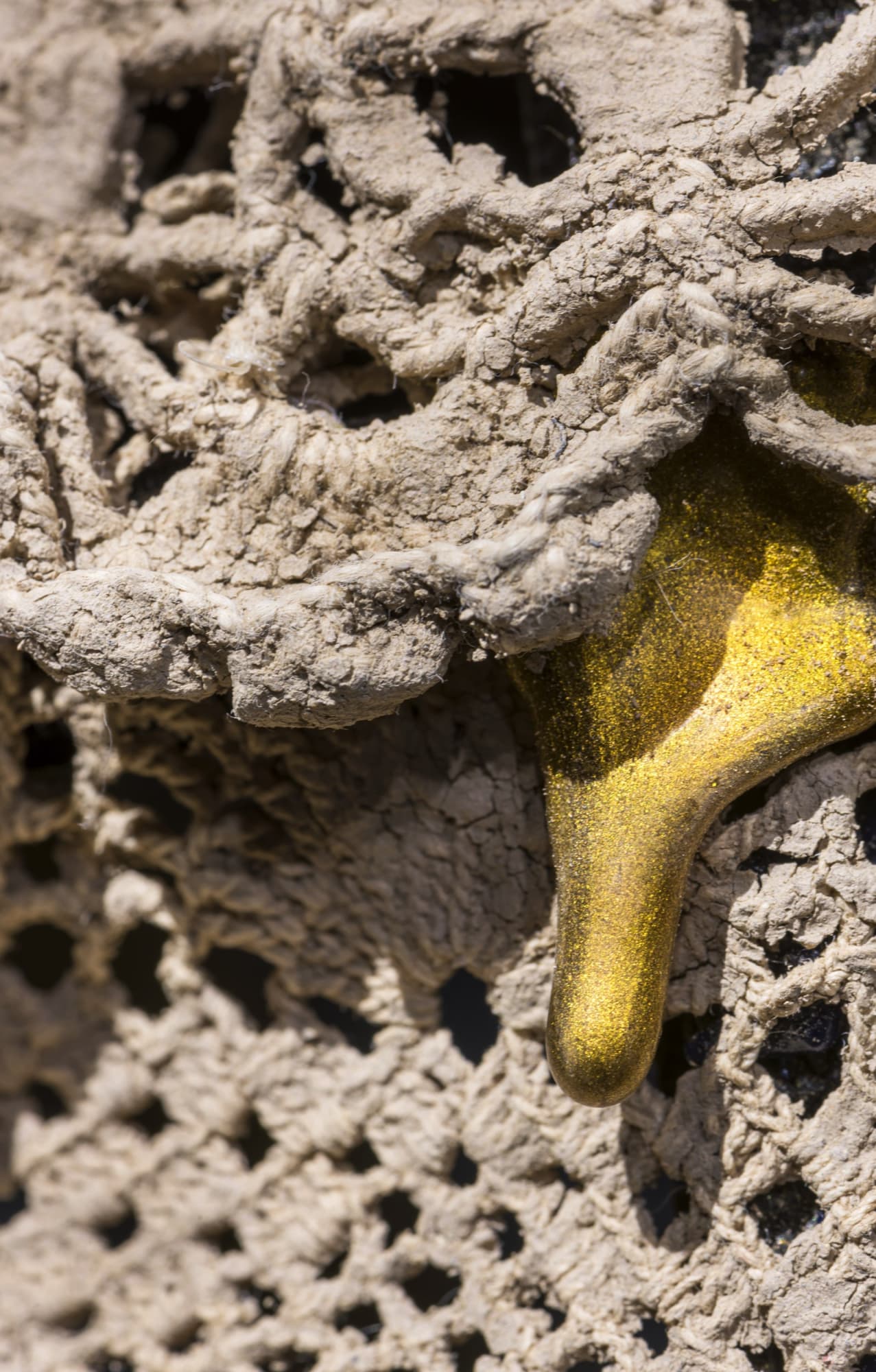 Daughter of the Soil