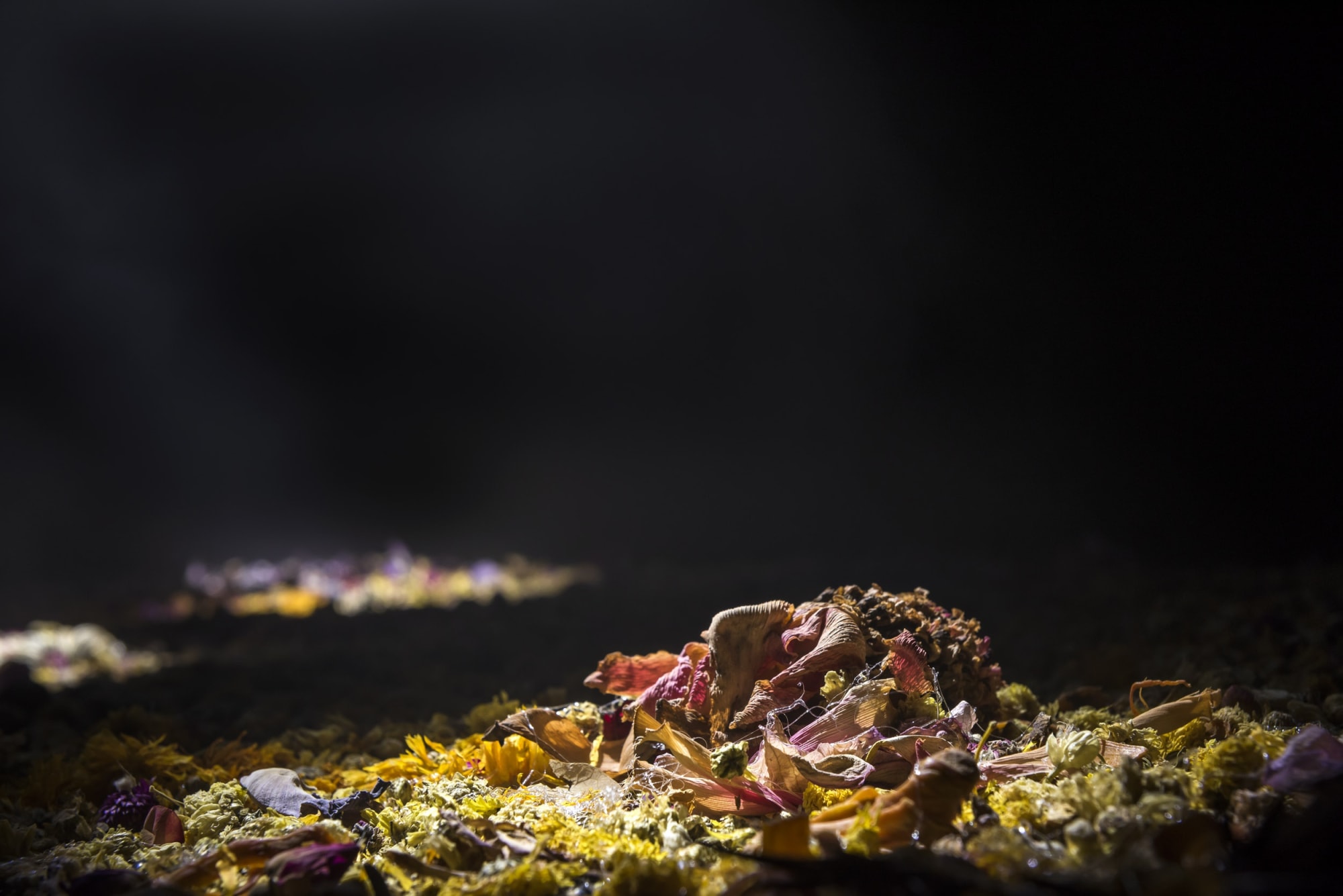 Daughter of the Soil