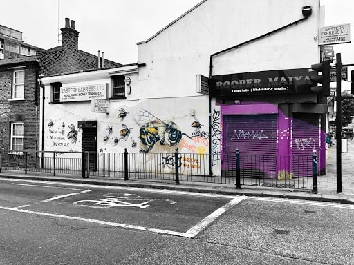 Wildflowers of London