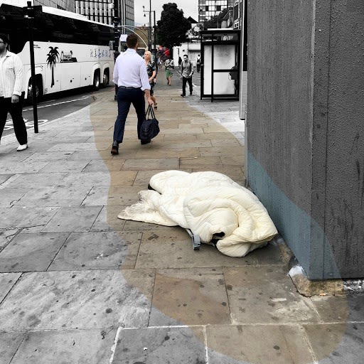 Wildflowers of London