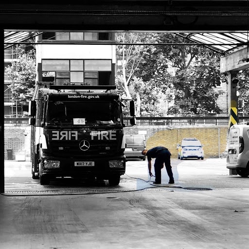 Wildflowers of London