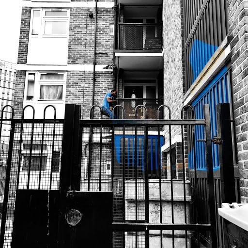 Wildflowers of London