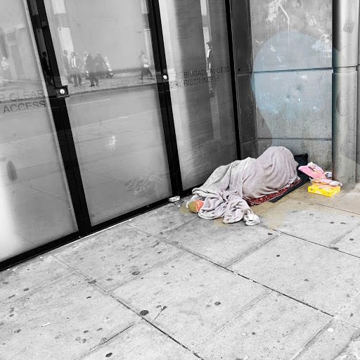 Wildflowers of London