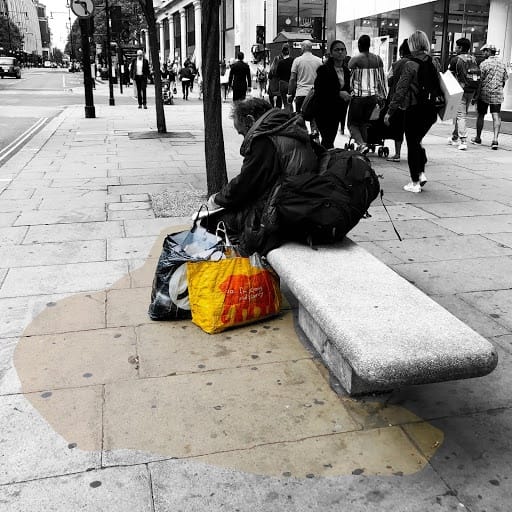 Wildflowers of London