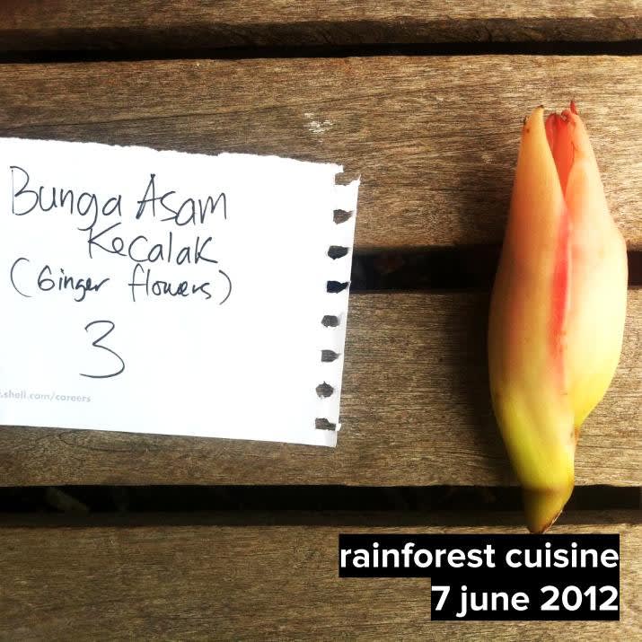 Bunga Asam Kecalak This was used for the Salt-baked Black Bone Chicken Egg, Wild Asparagus Persillade, Garlic Flower Stern and Pickled Kecalak.