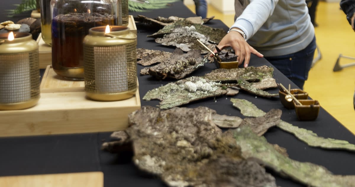 Hinau Chocolate Cake