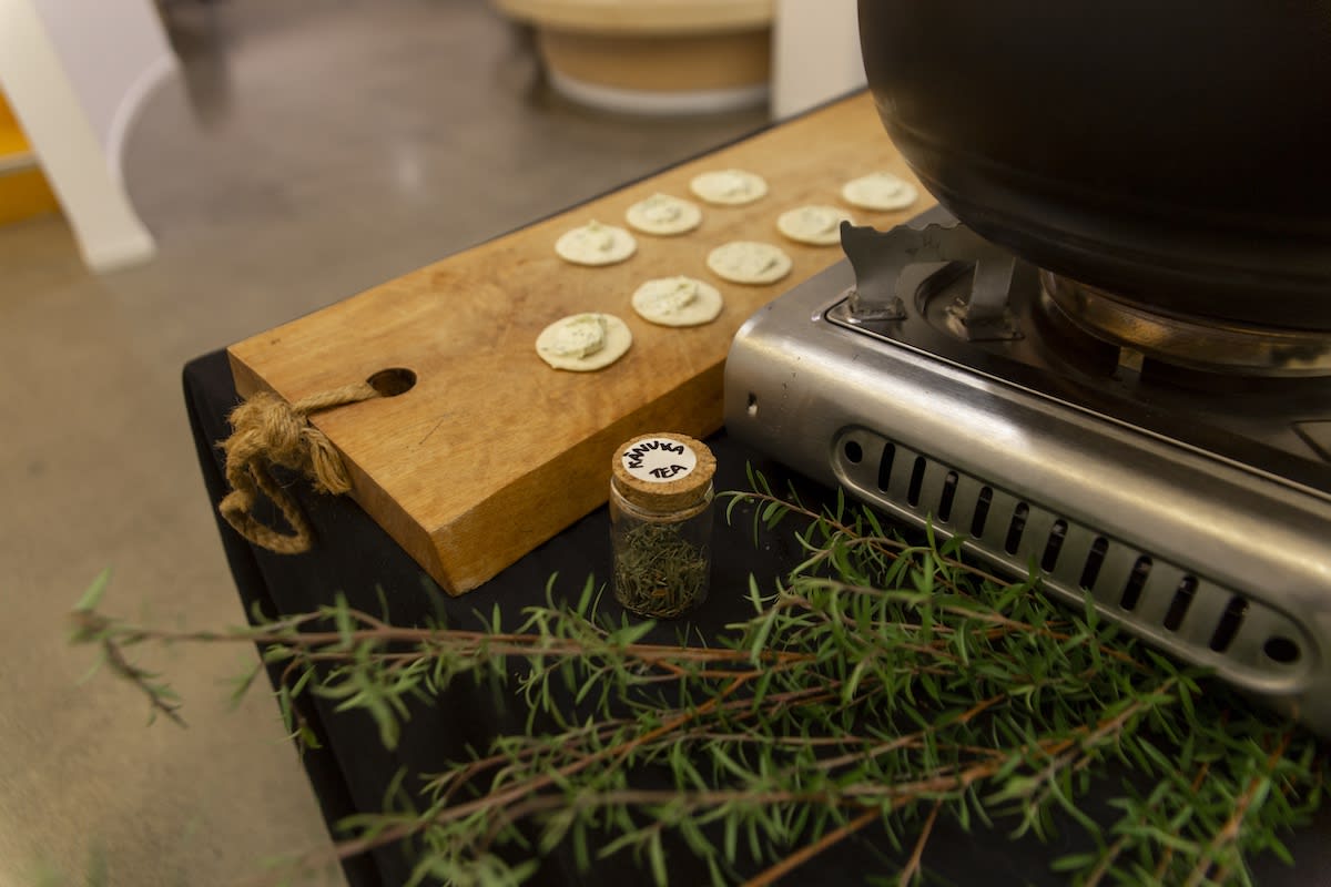 Kanuka is a native tea tree of Aotearoa New Zealand known for its light green and earthy tones.