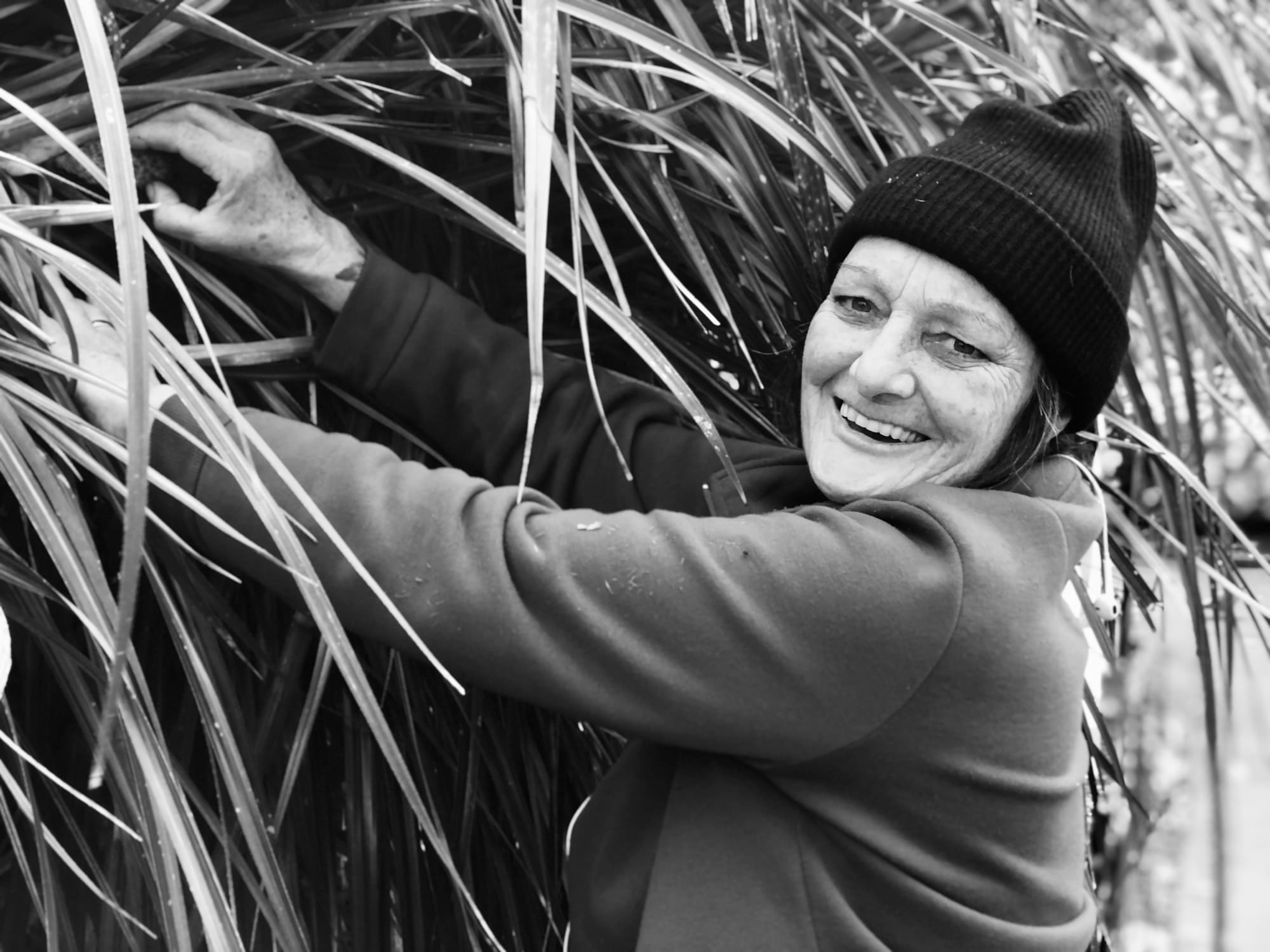 GastroGeography x Auckland Central