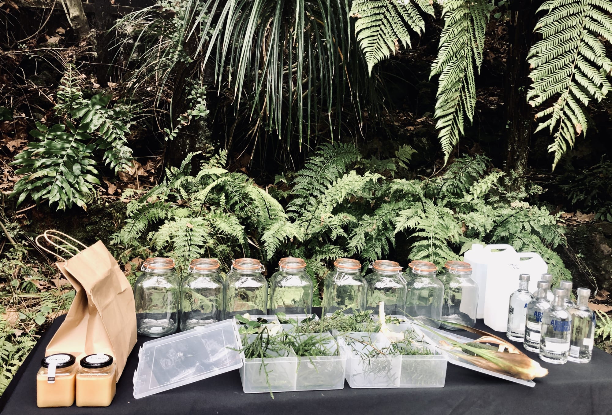 GastroGeography x Auckland Central