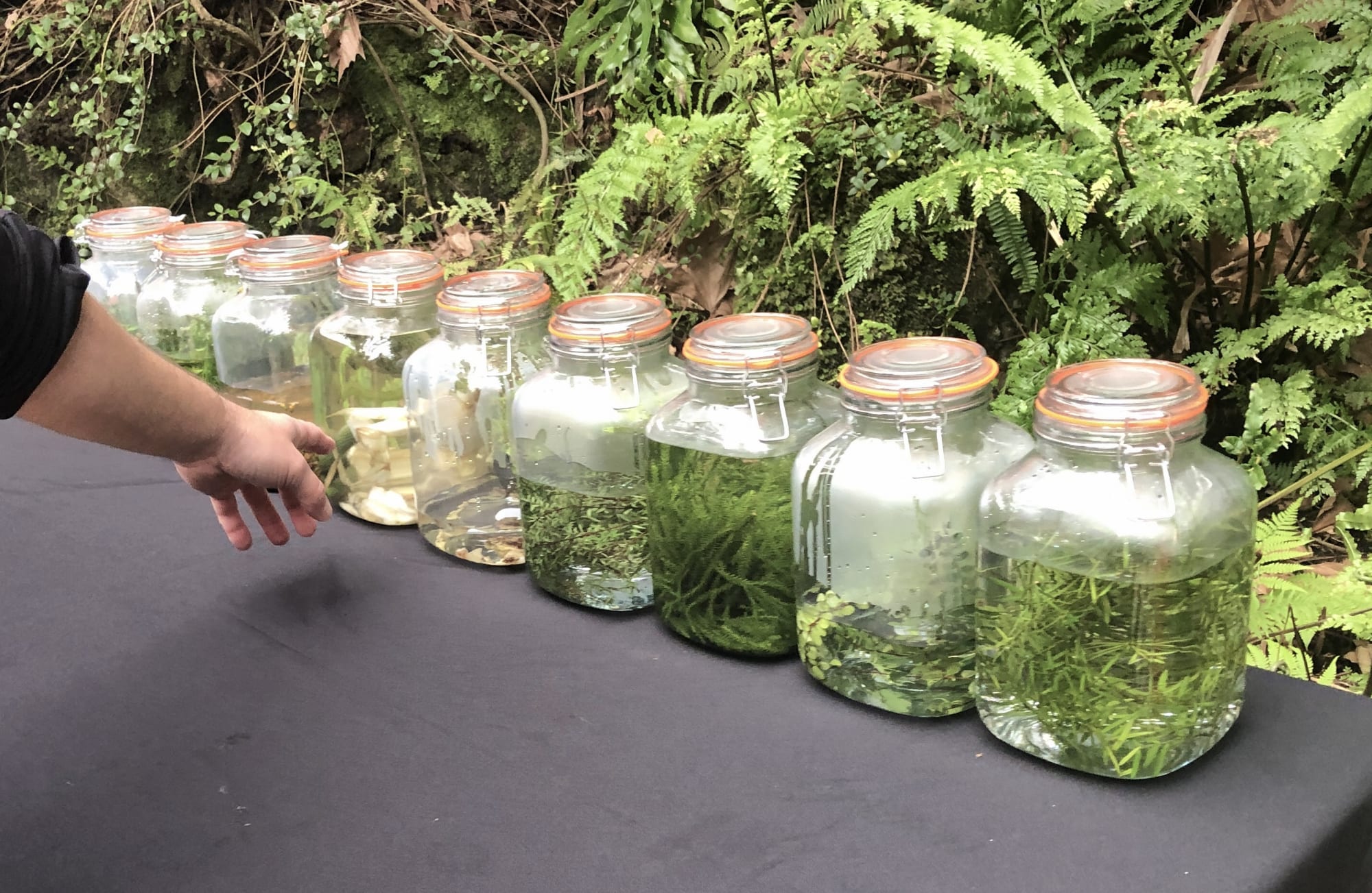 GastroGeography x Auckland Central