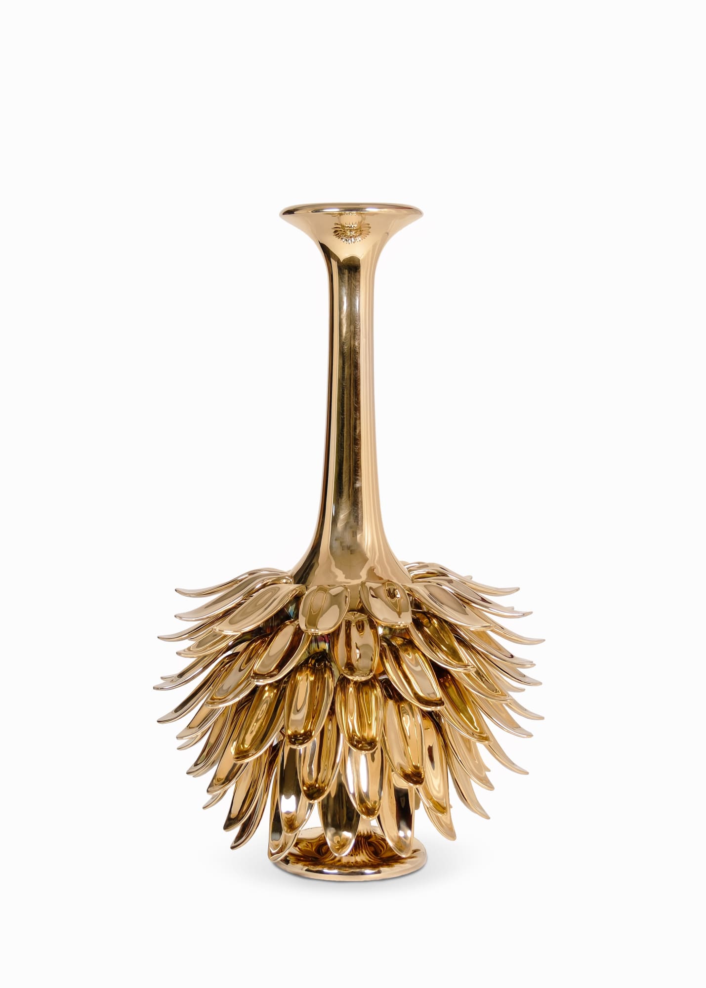 Flora Curiosa, 2024 Eelko Moorer