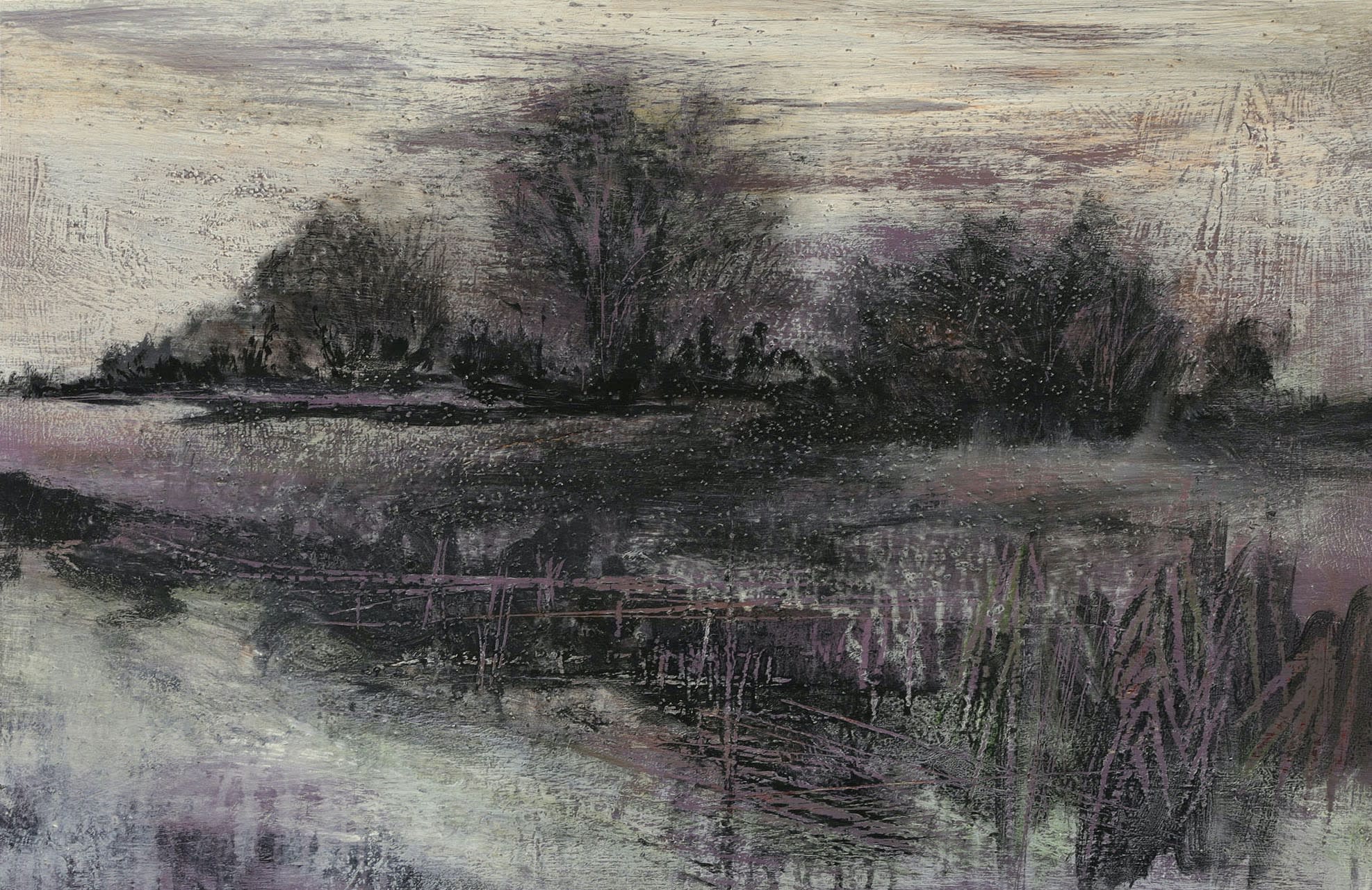 Trevor Borg, Purple Utricularia Bay, 2022