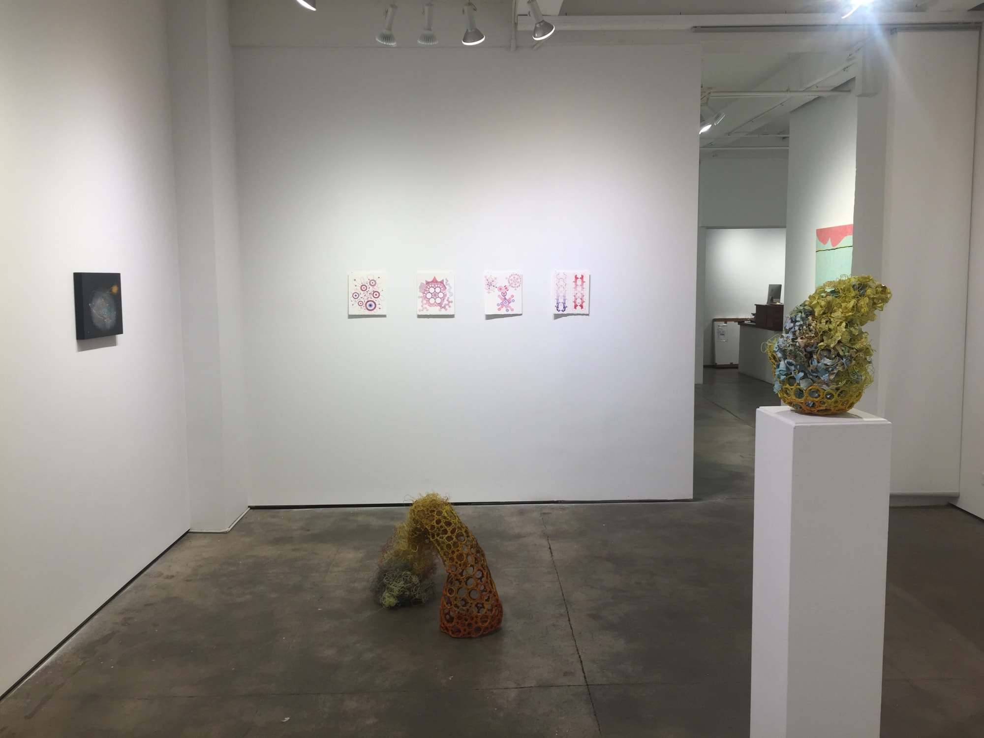 installation photo of Indra'sNet exhibition