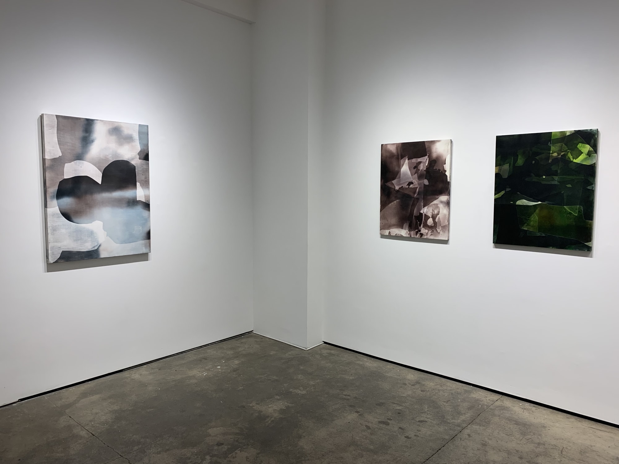 photo of Eric Blum paintings hanging in the gallery