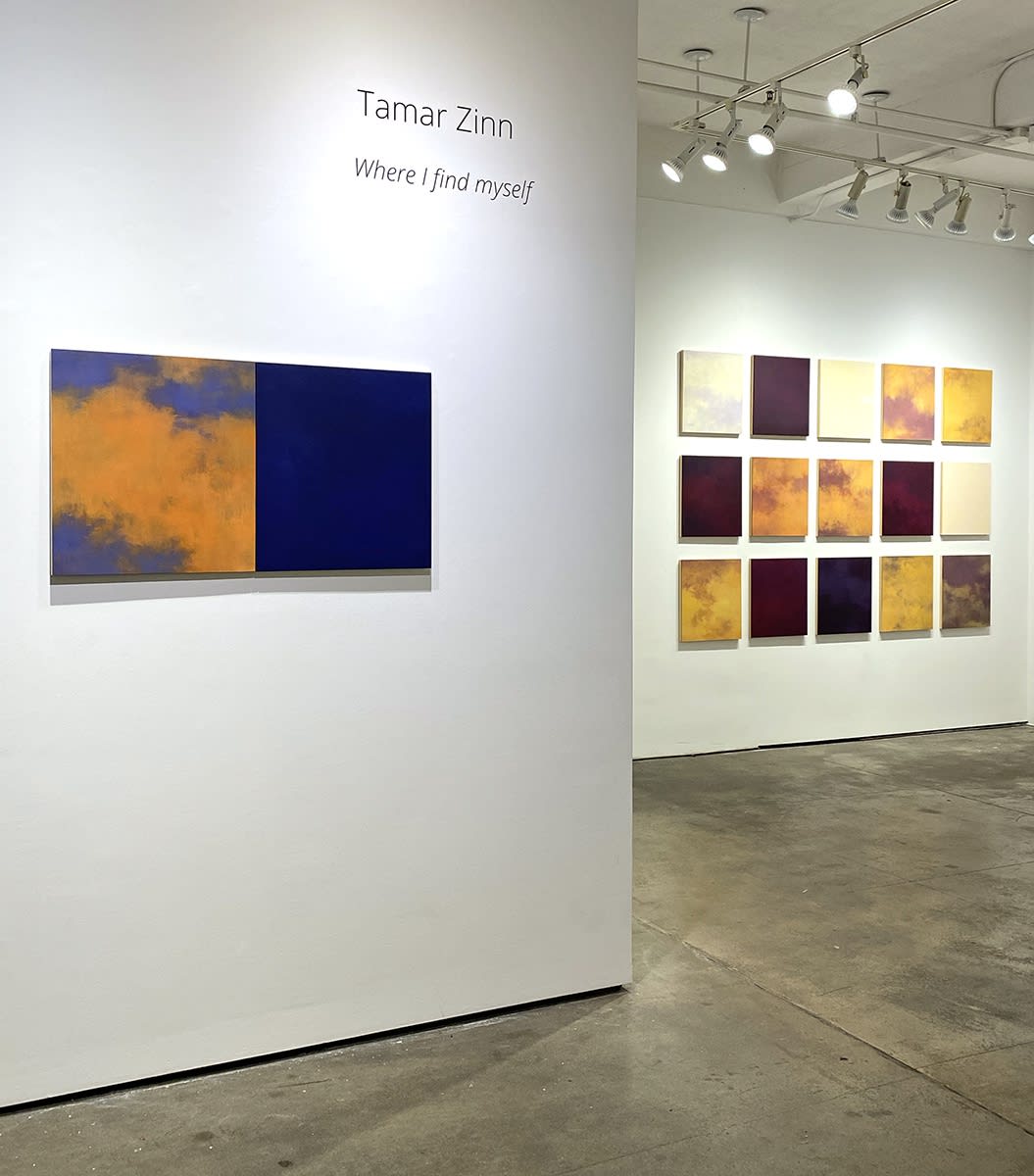 installation shot of Tamar Zinn "Where I find myself" exhibition