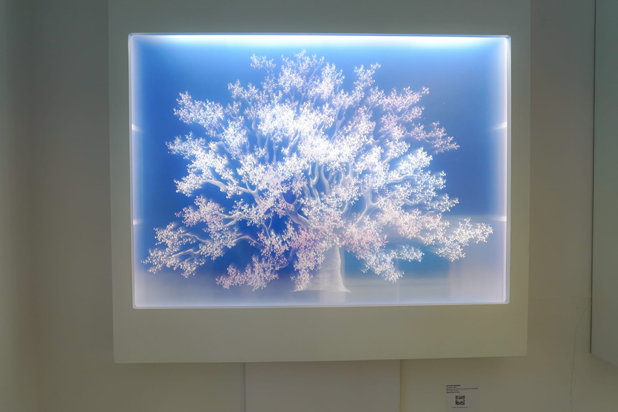 Installation views from August Women curated by Elena Prohaska