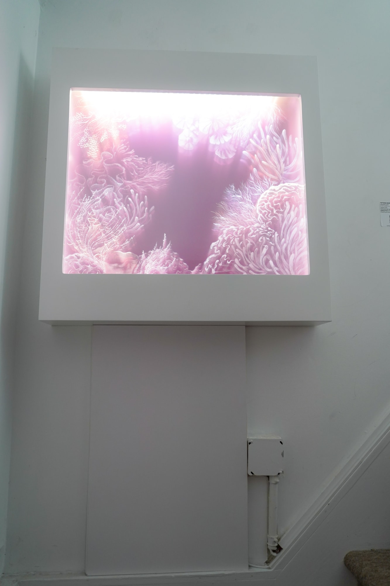 Installation views from August Women curated by Elena Prohaska