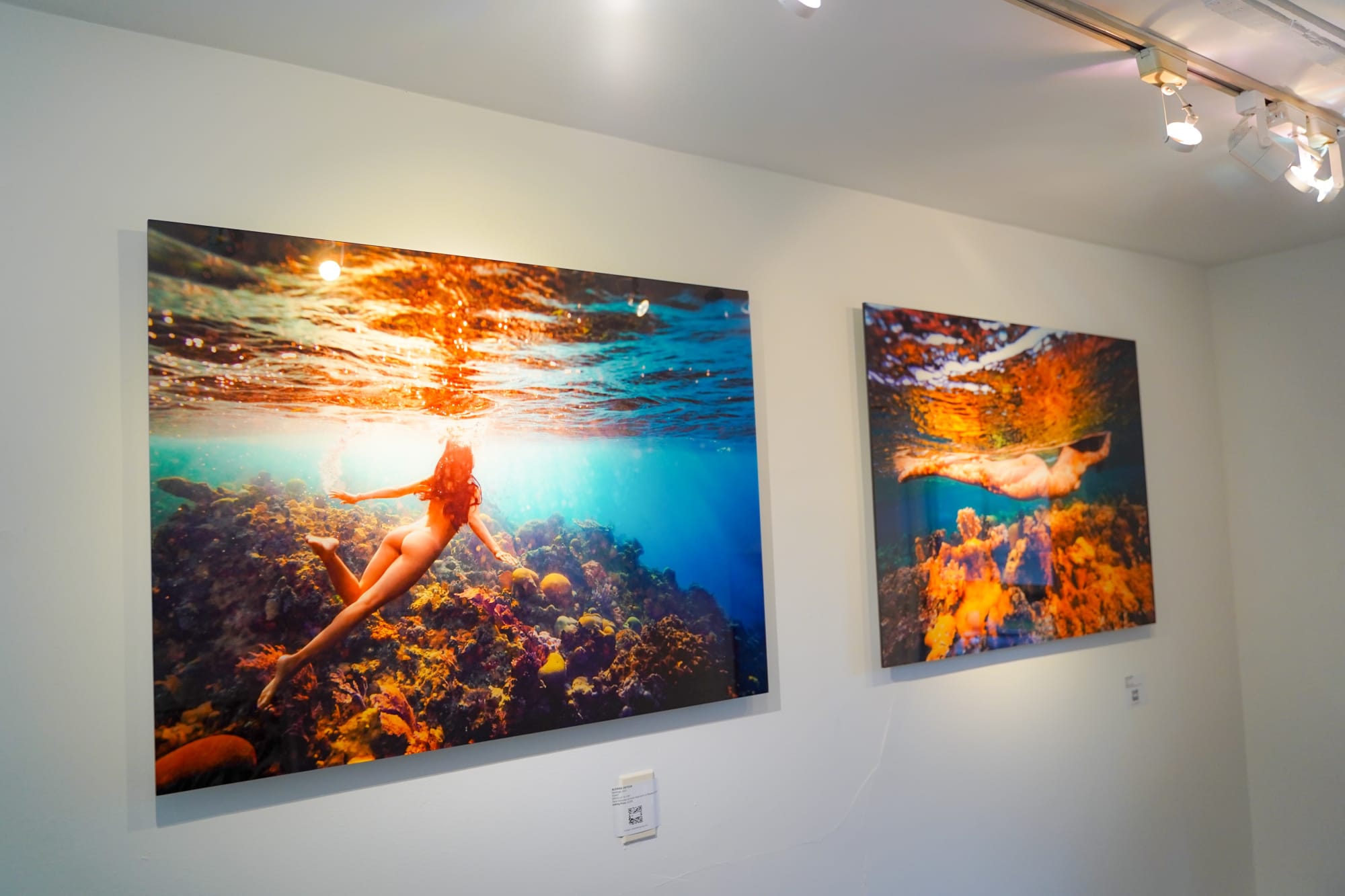 Installation views from RE-MERGE curated by Heidi Lee Komaromi