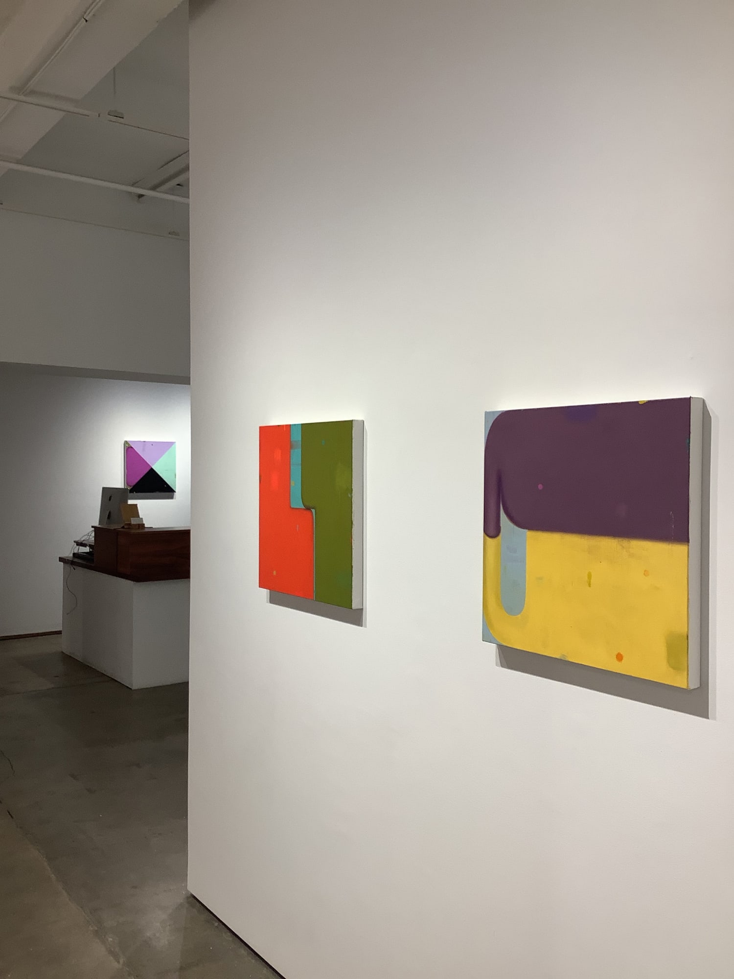 Installation shot of Deborah Zlotsky solo exhibition