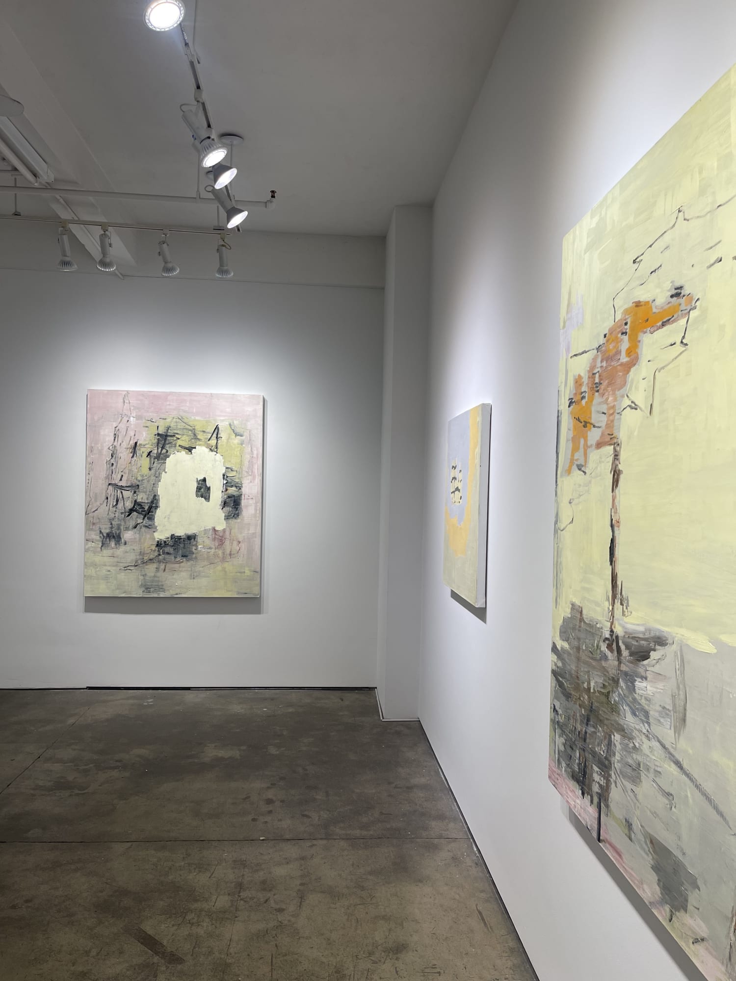 Deborah Dancy "A Glitch In The Membrane" picture of installation