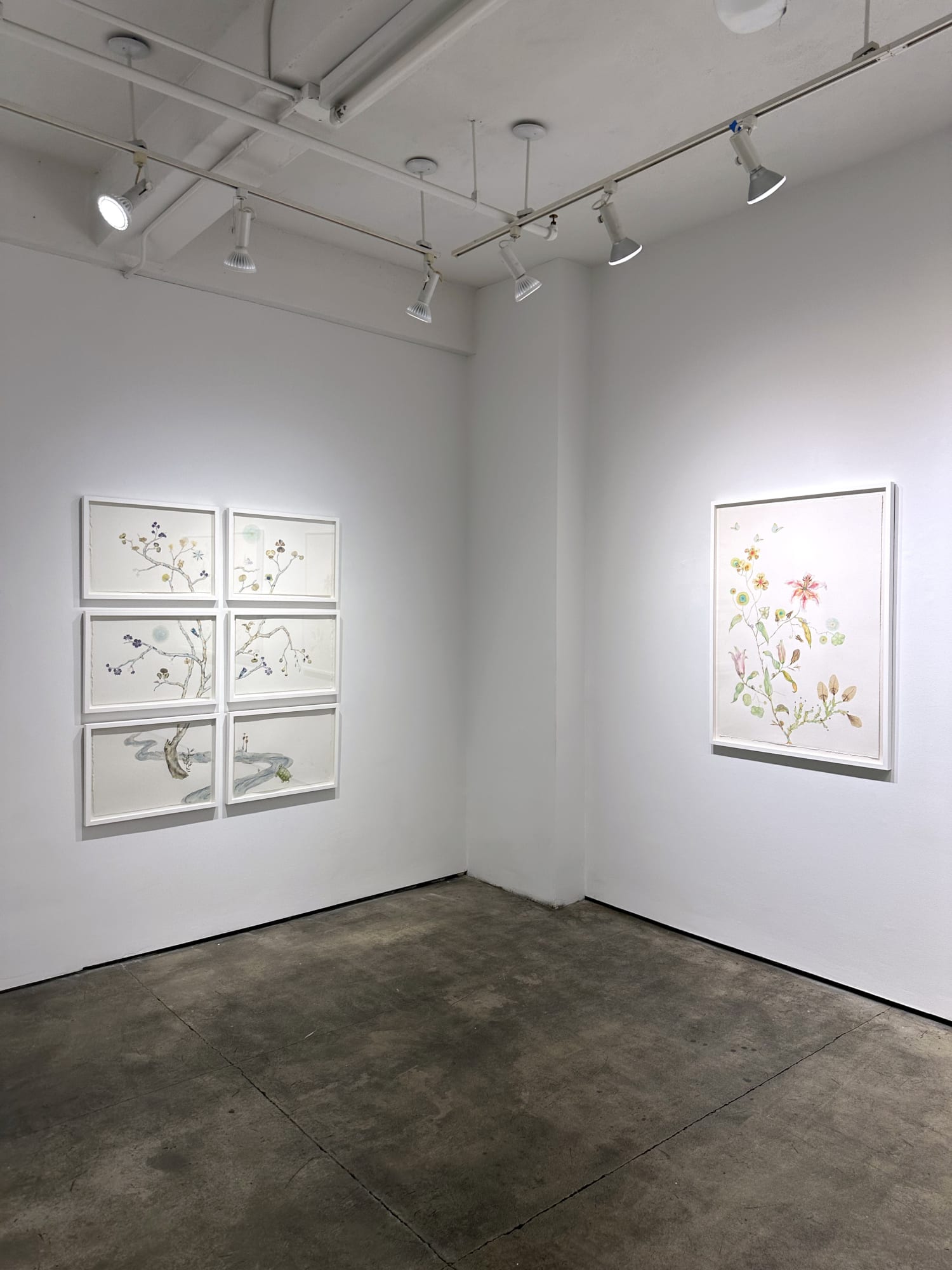 picture of exhibition paintings in the art gallery