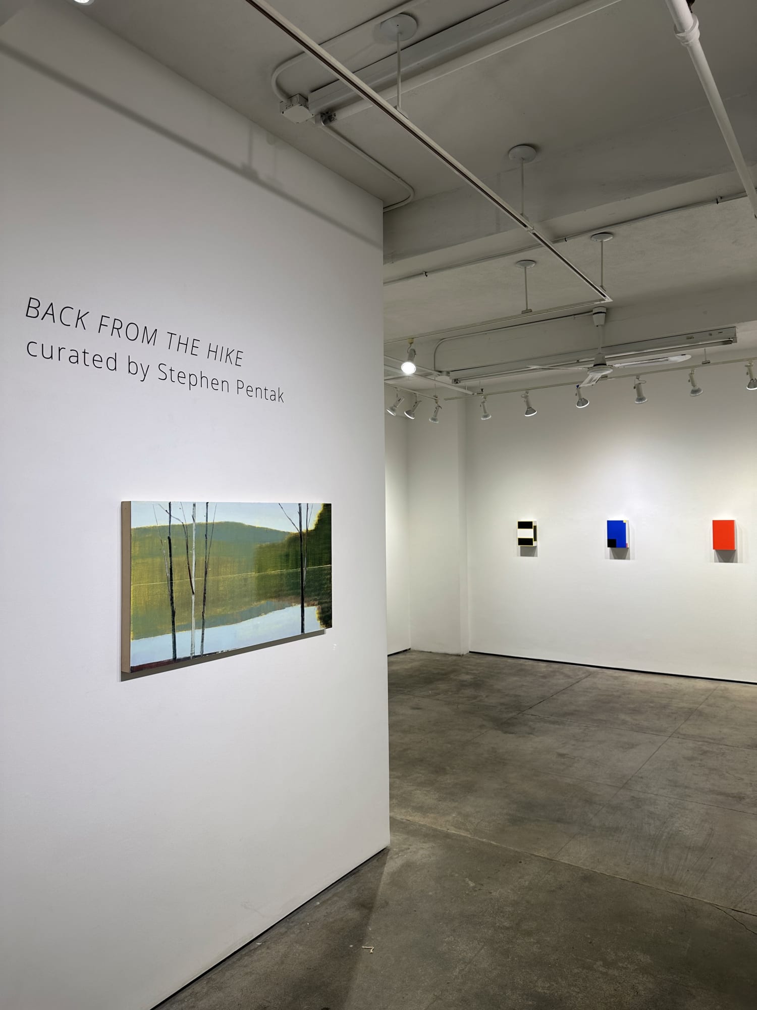 Installation views from "Back To The Hike: Curated By Stephen Pentak" June 2023